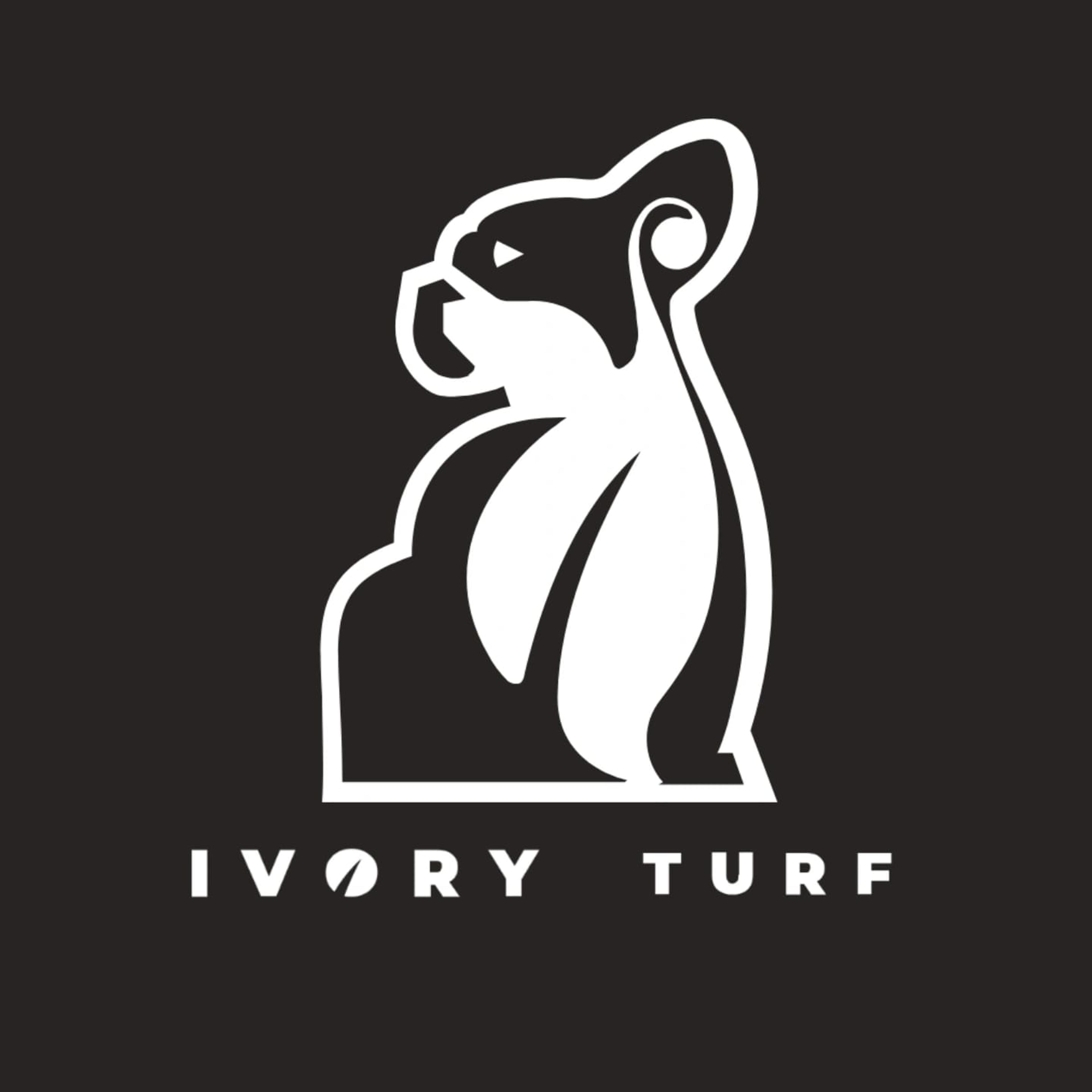 Ivory turf posa erba sintetica