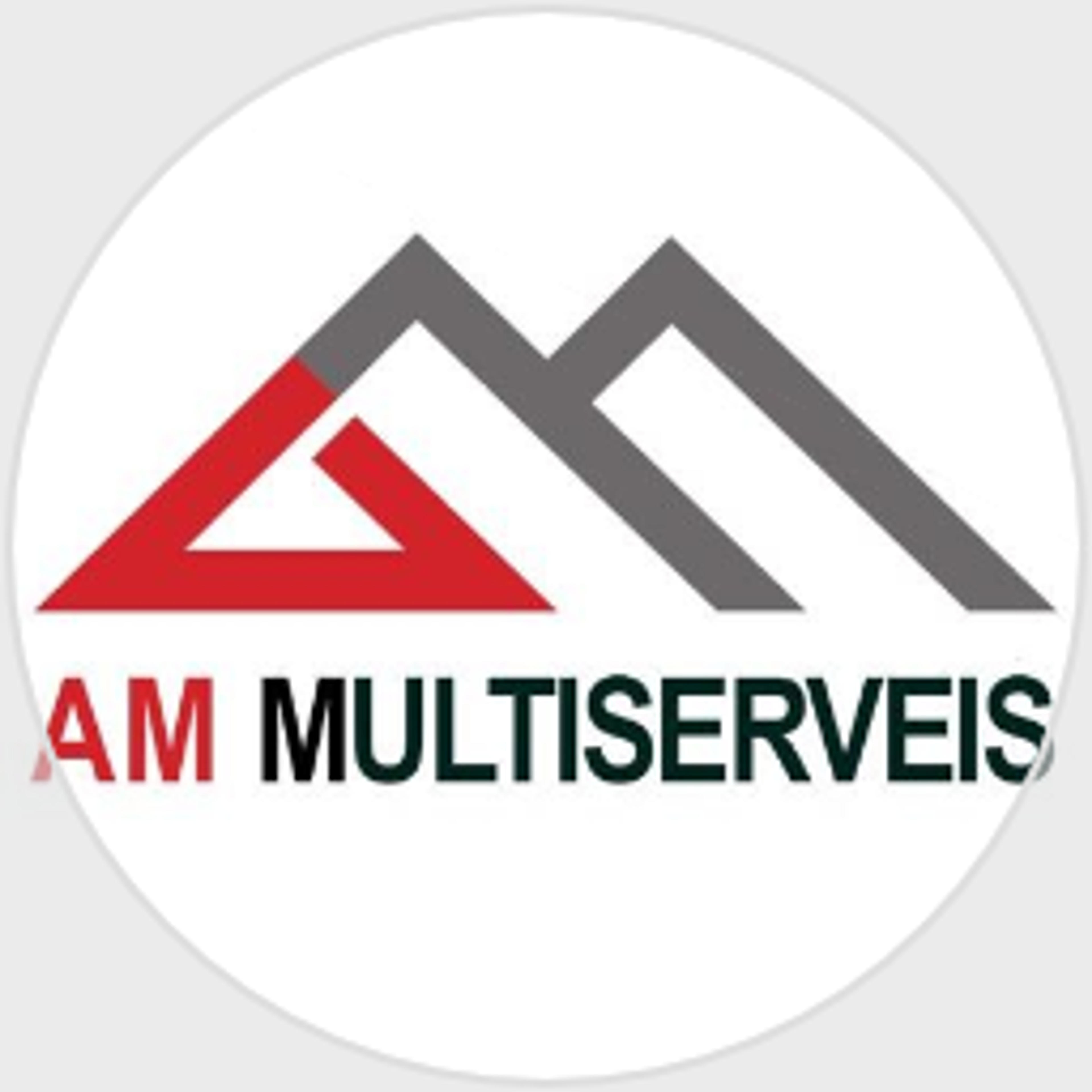AM MULTISERVEIS