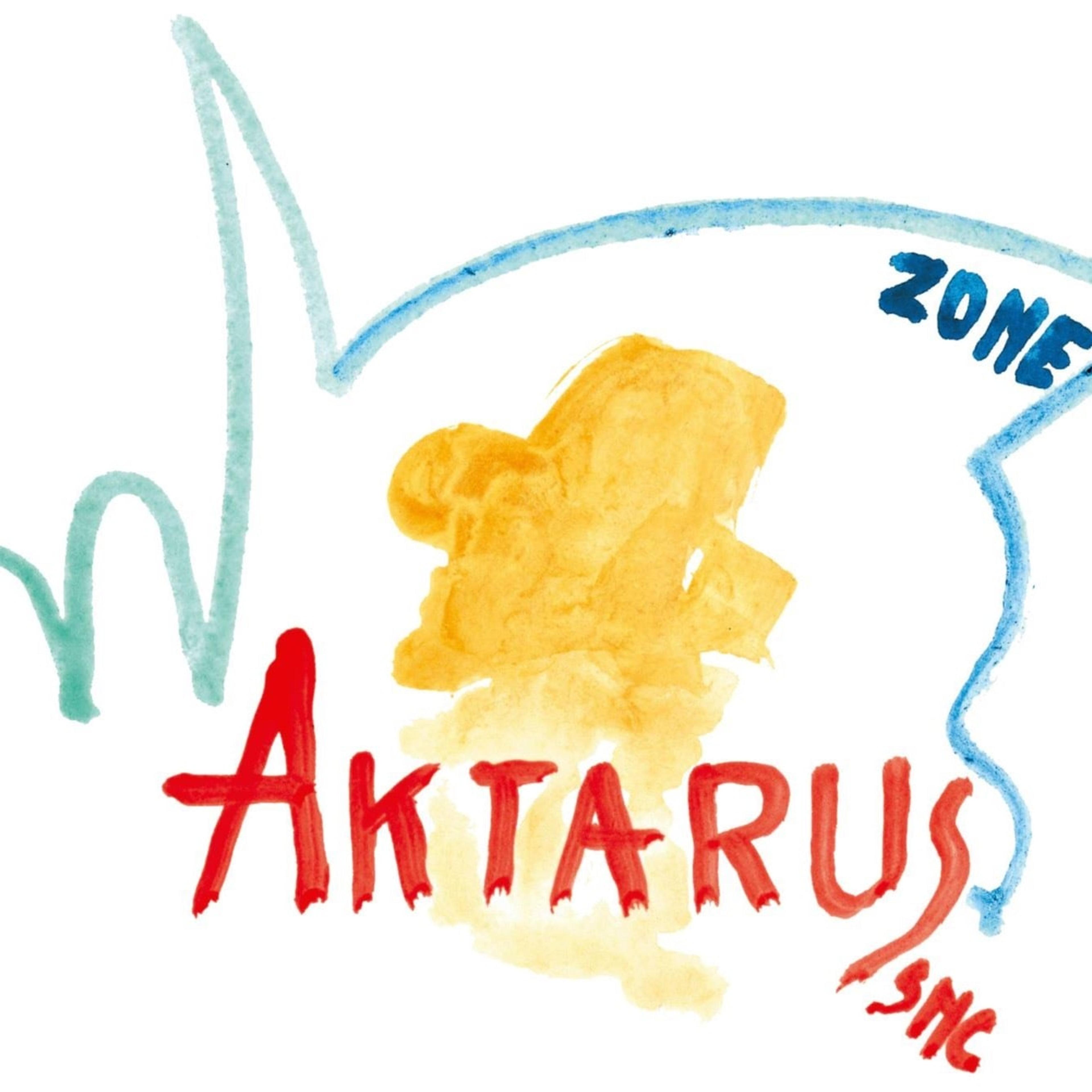 Aktarus Zone Srl