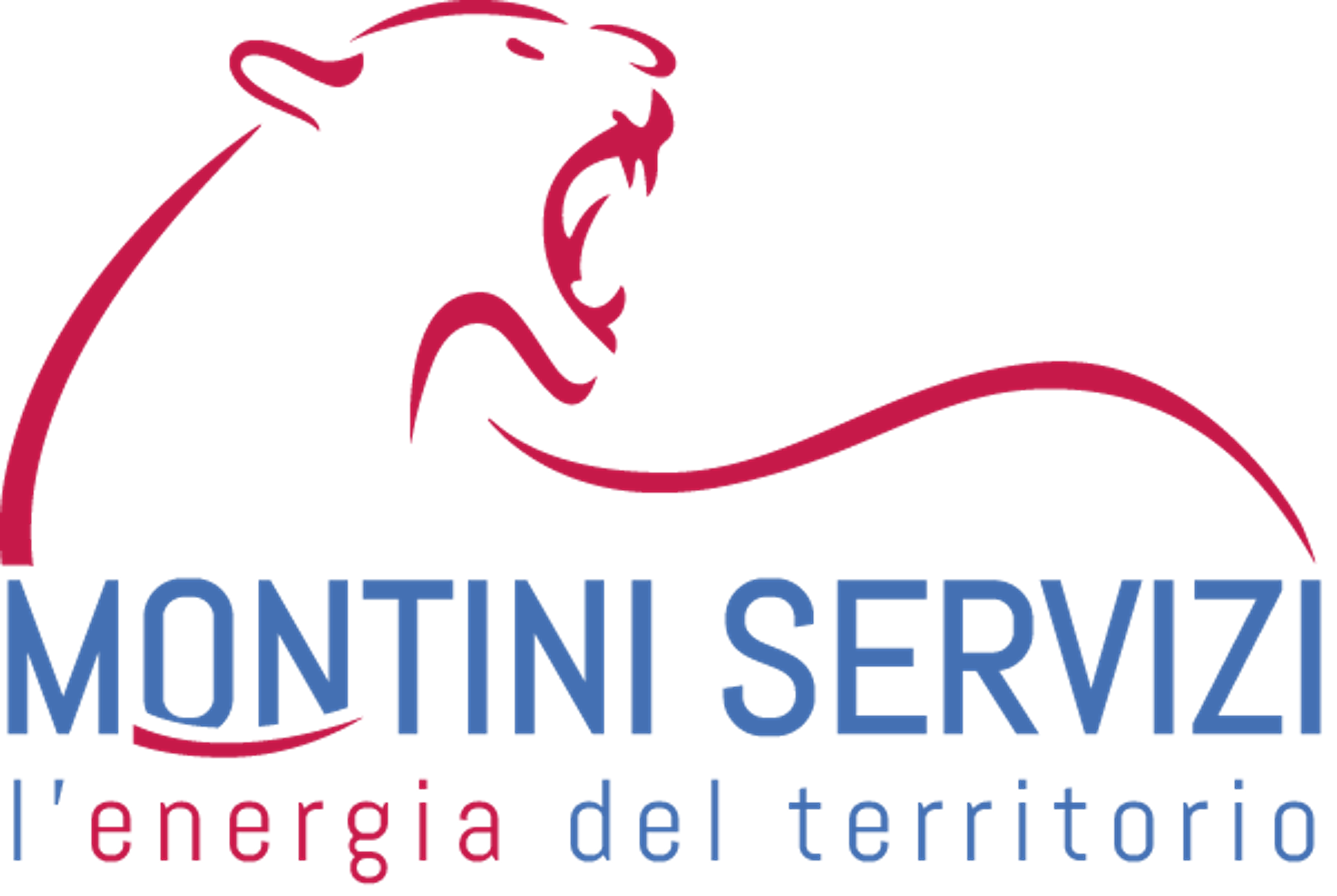 Montini Servizi S.r.l.