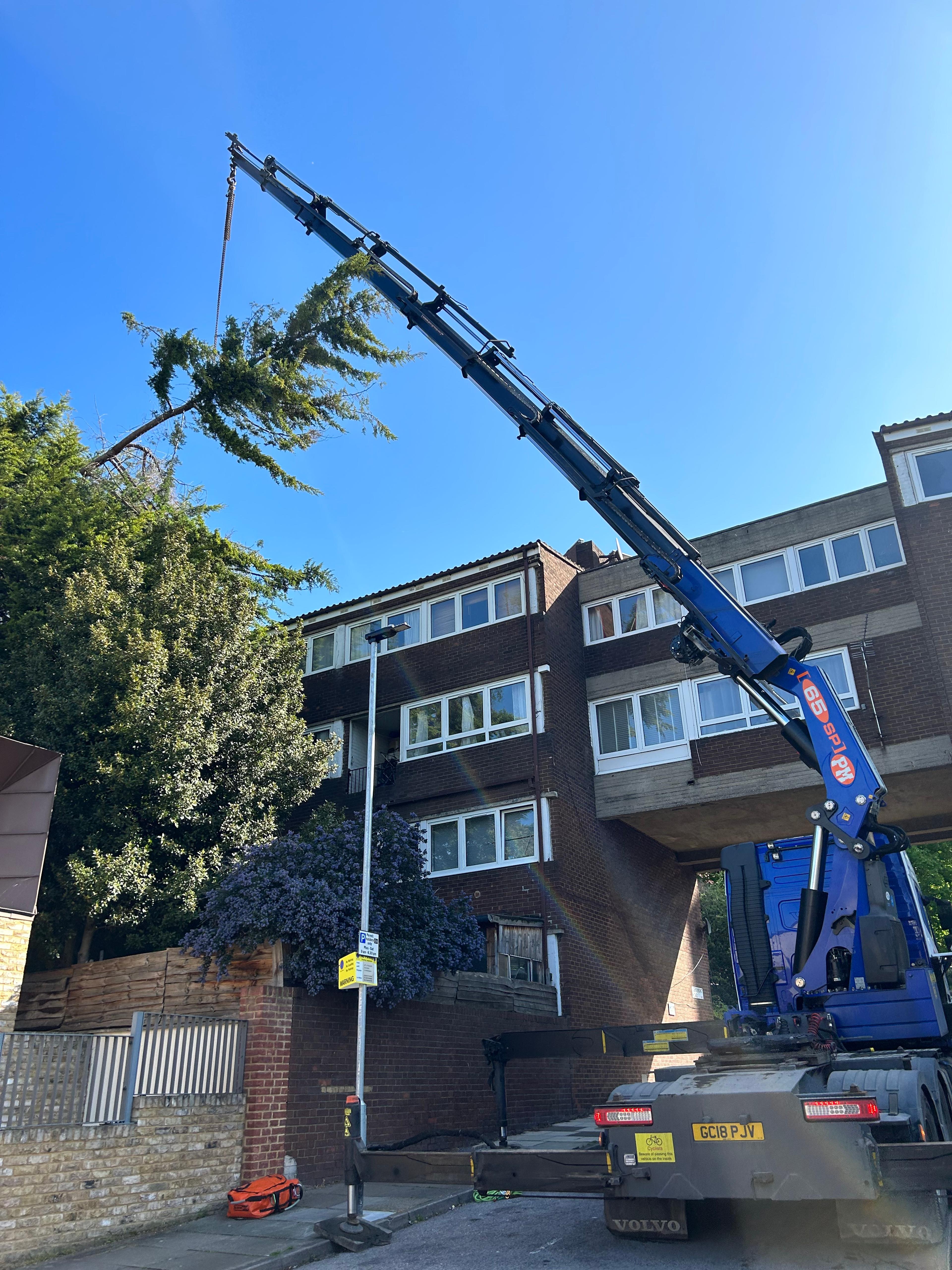 Tree-monkeys ltd