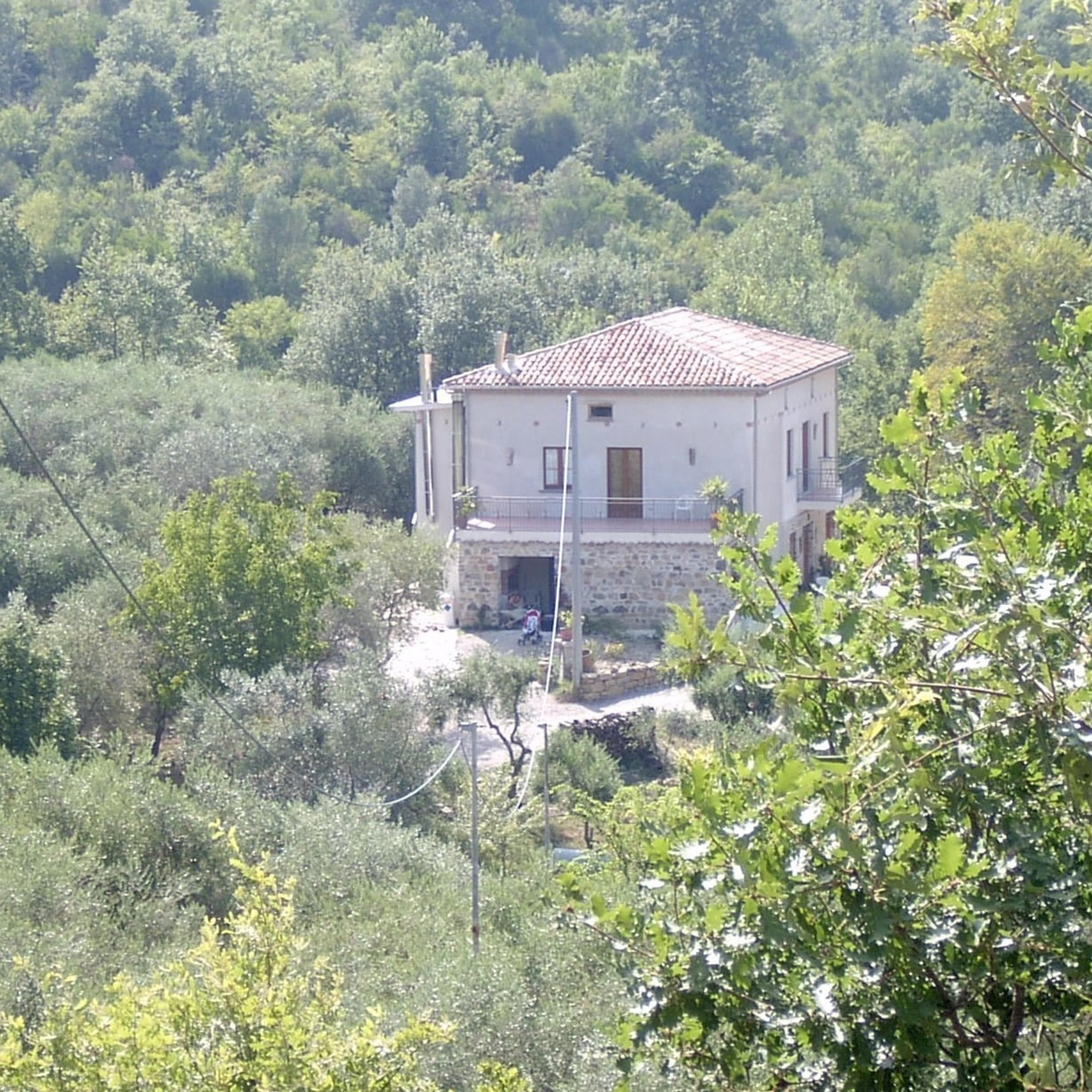 Agriturismo-Agricampeggio-Fattoria Didattica le Cammarose