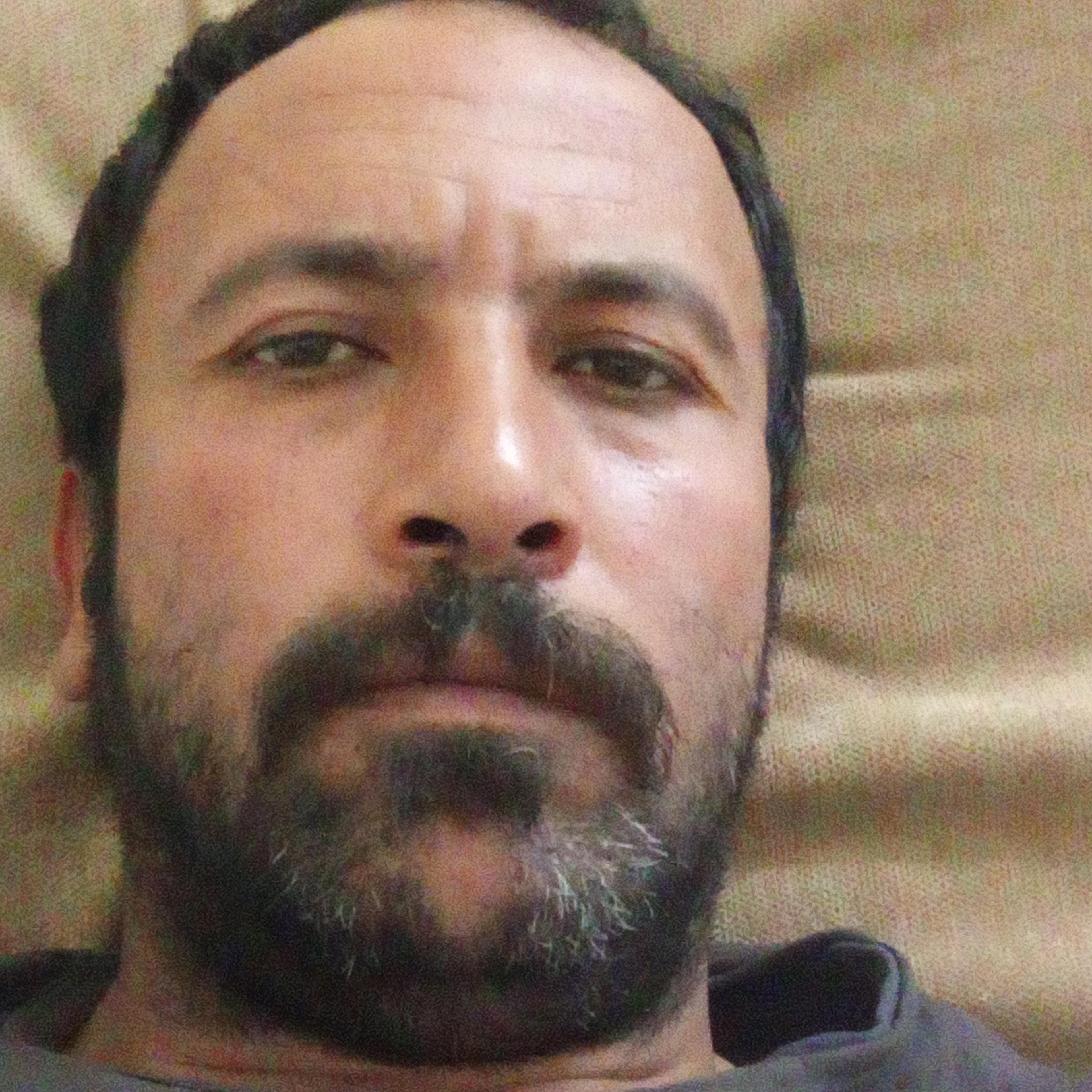 محمد محمود امين