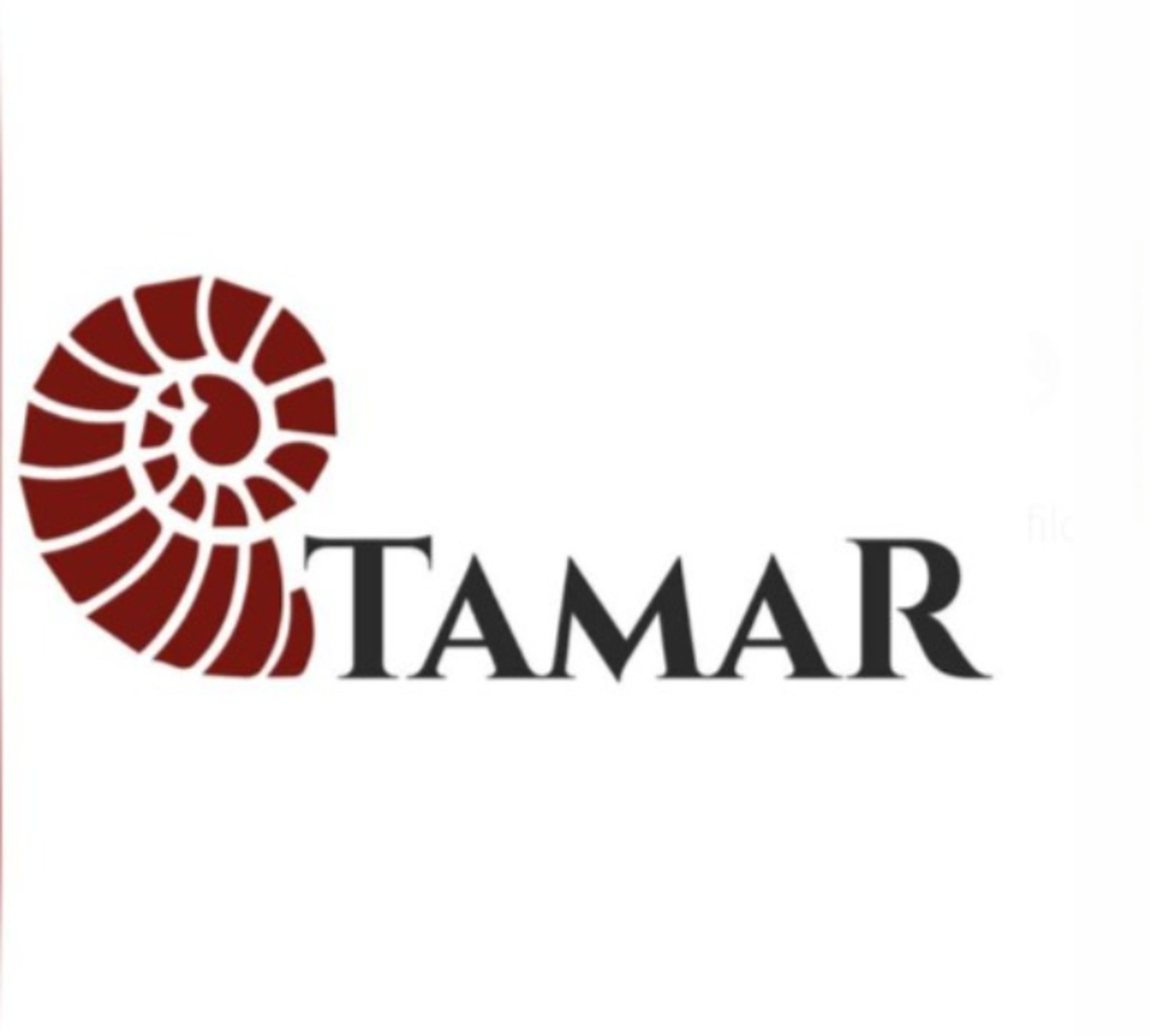 Tamar System