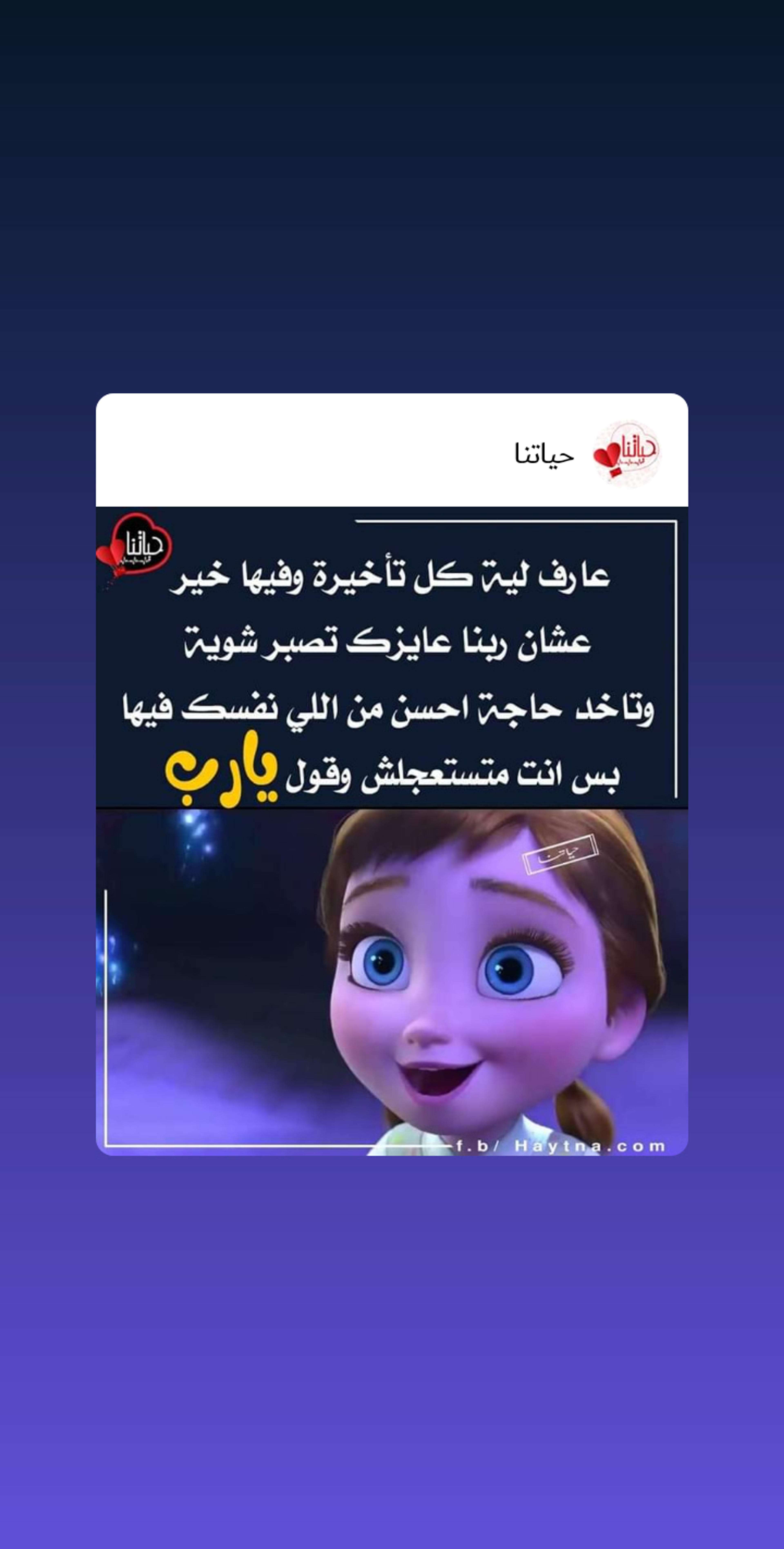 كمال فتحي كامل متولي شحاتة
