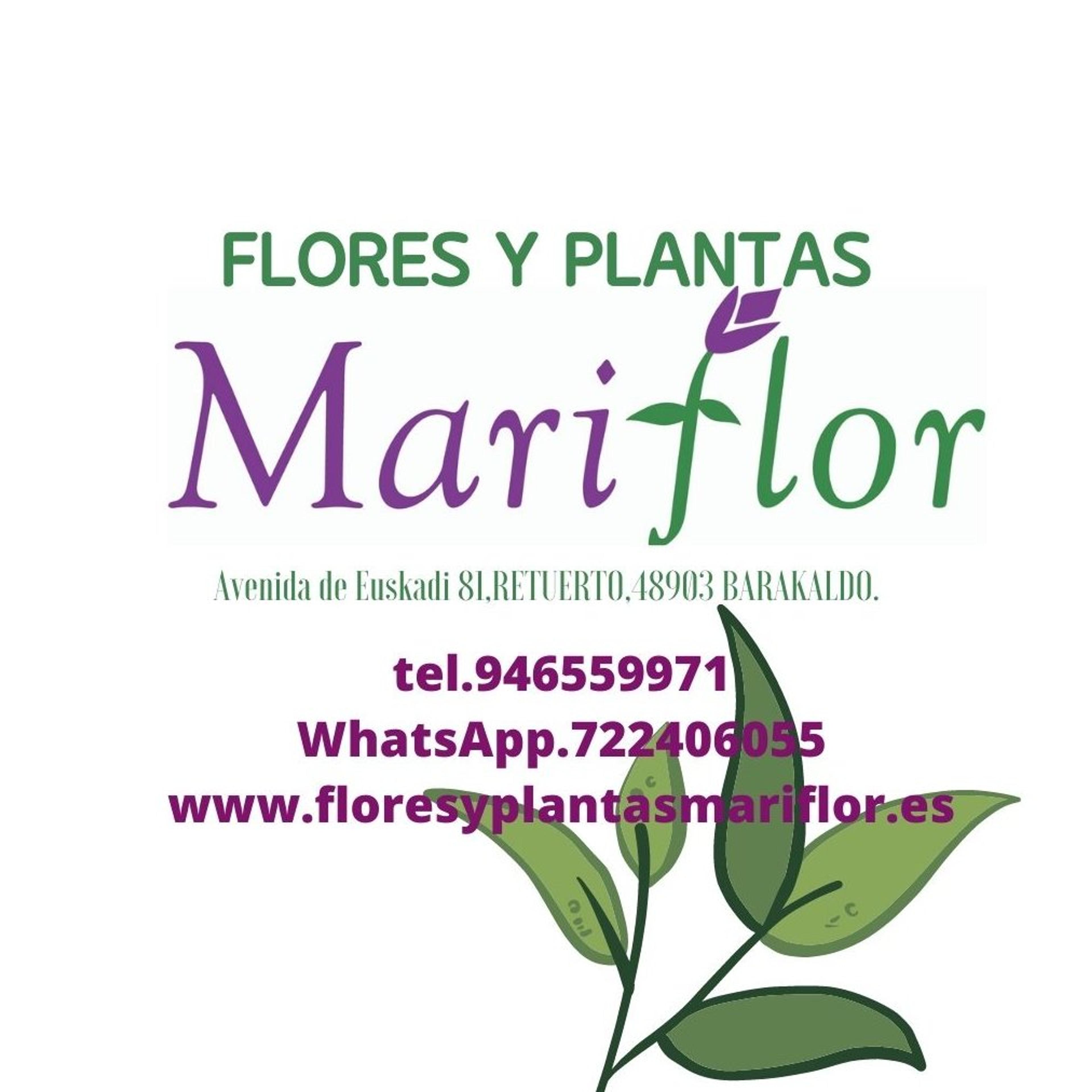 Flores y plantas mariflor