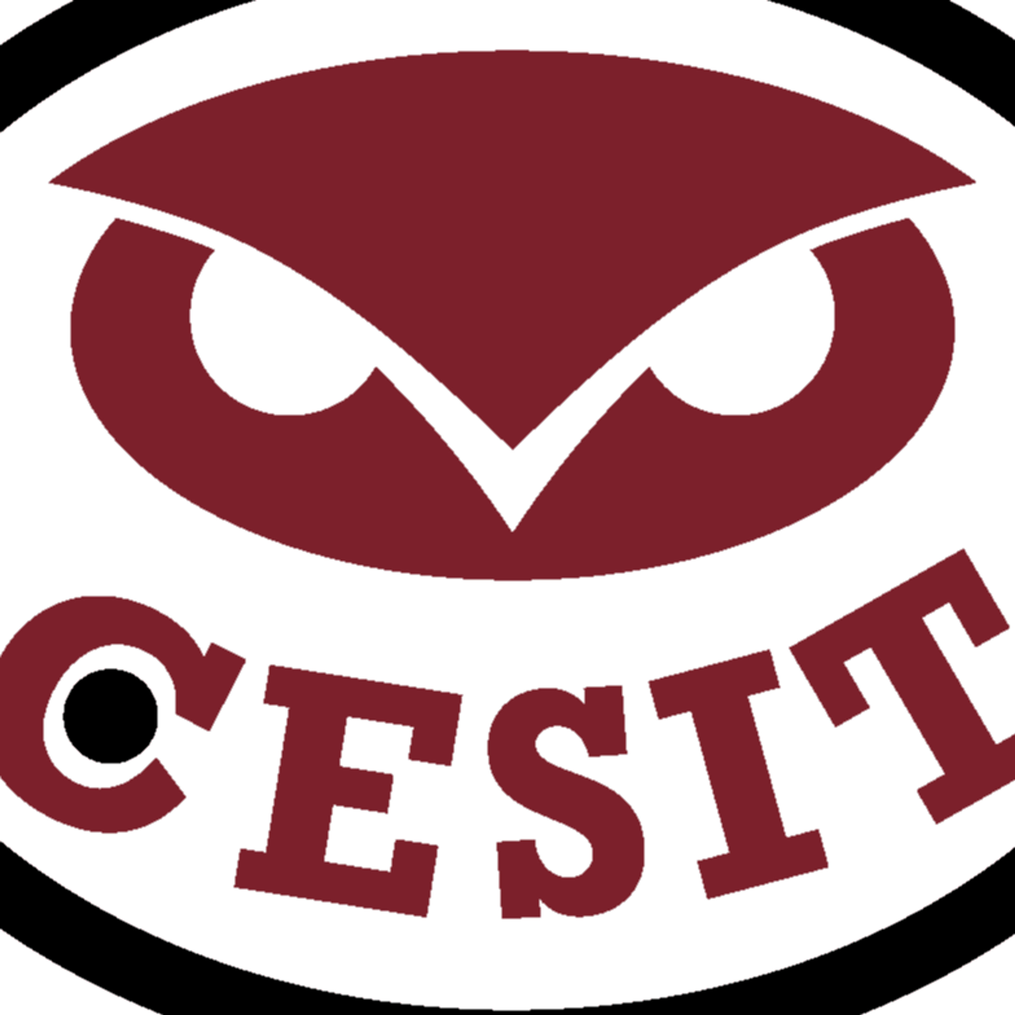 Cesit Seguridad, S.L.