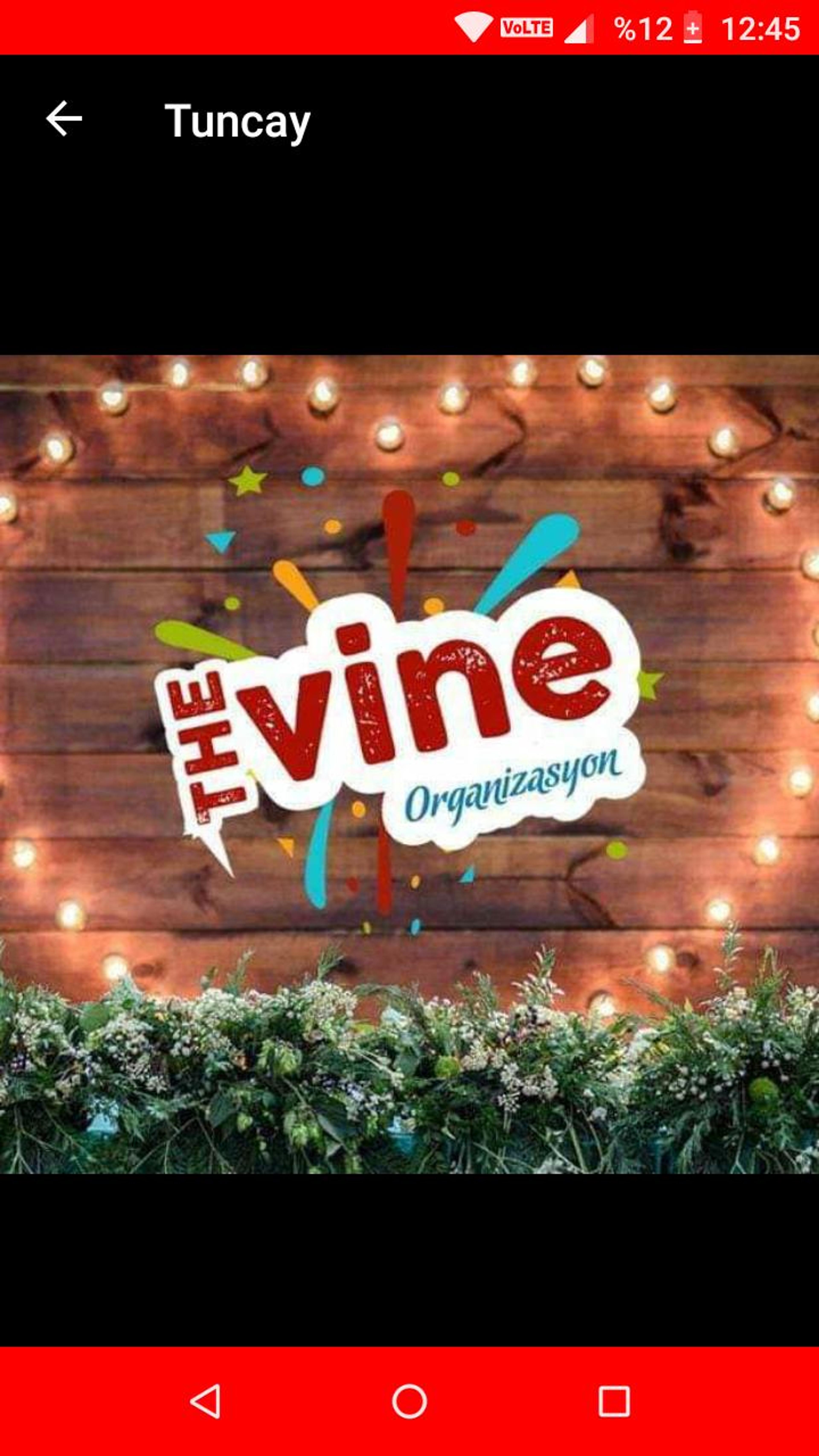 The Vine Organizasyon