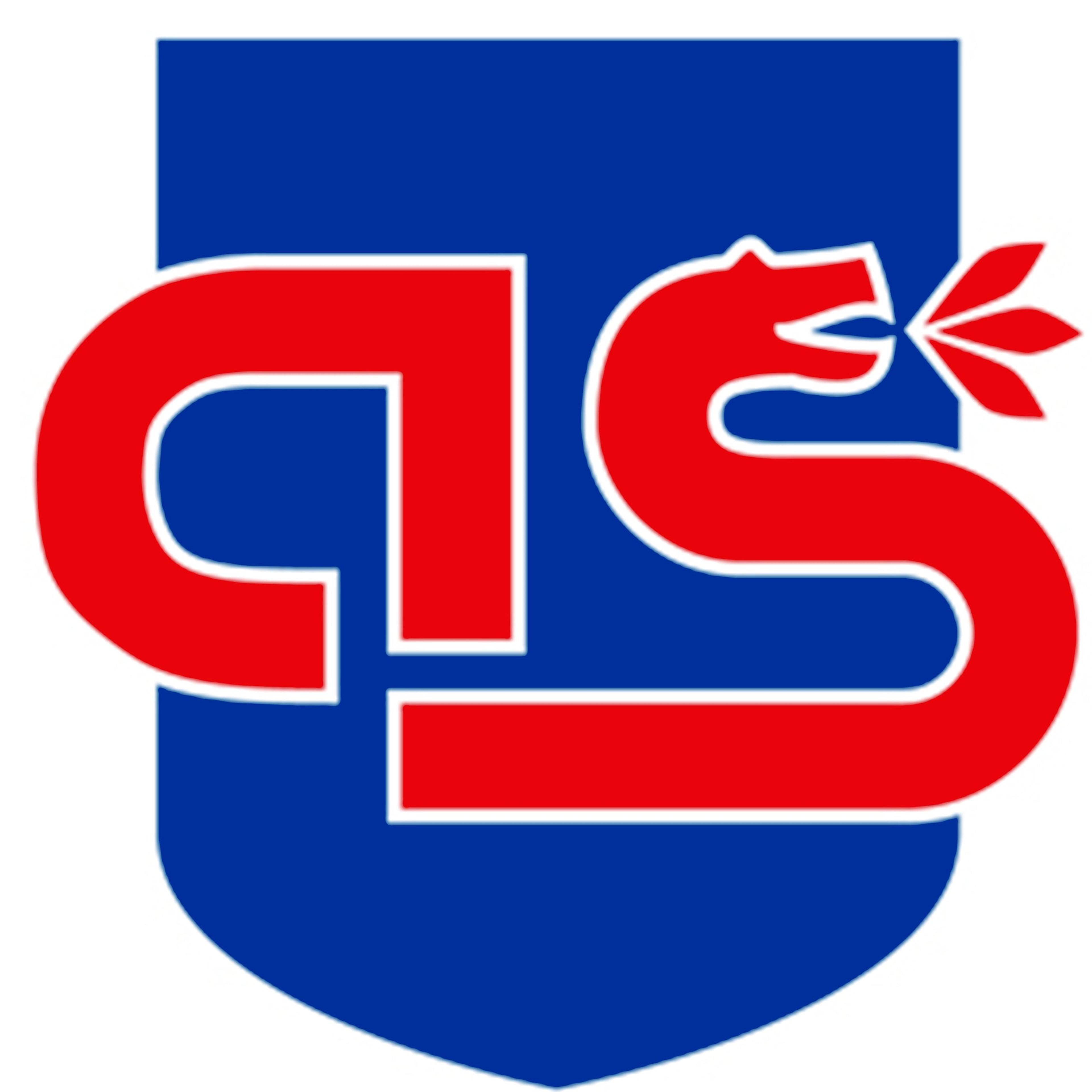 Antincendio Sestese srl