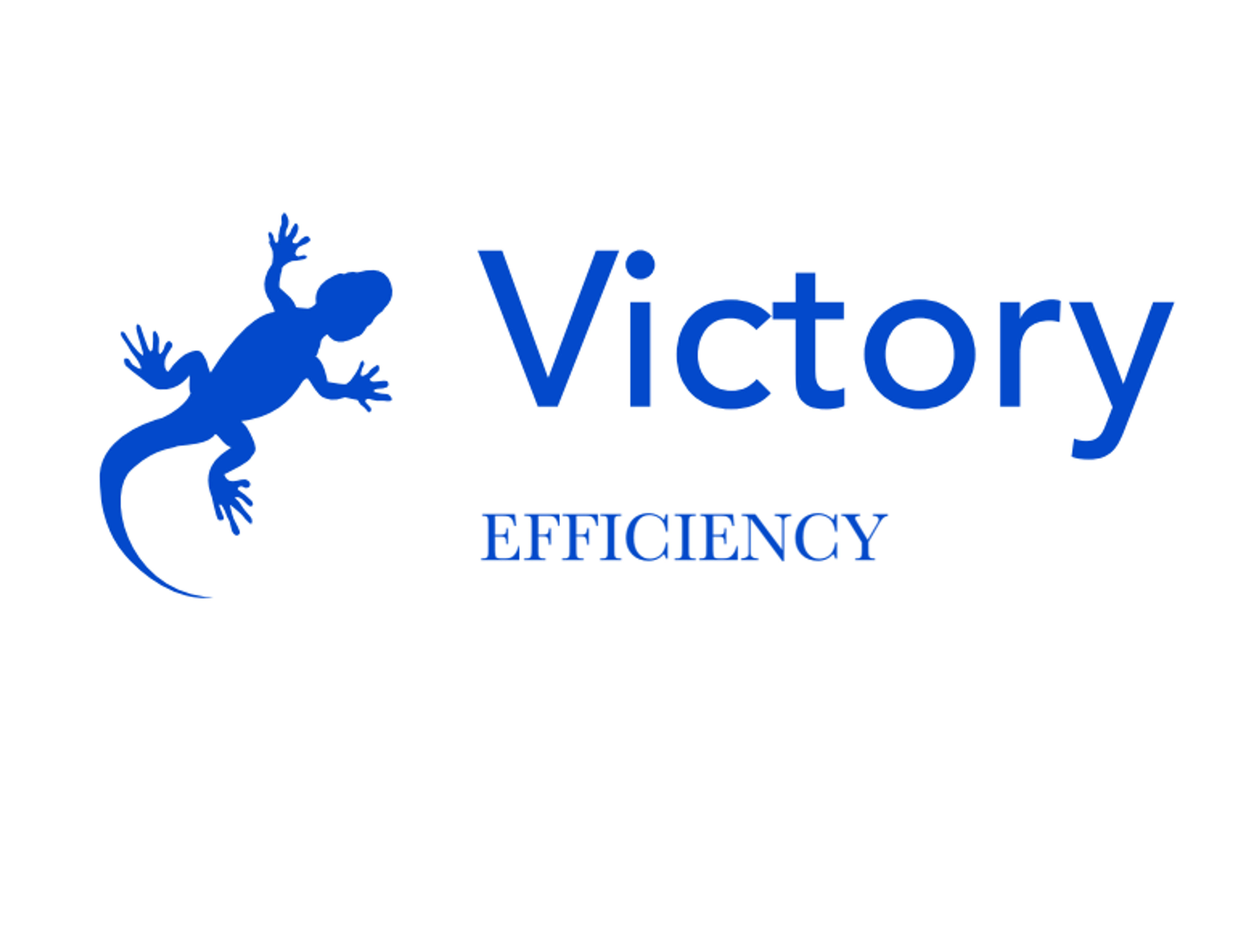 Victory Srl