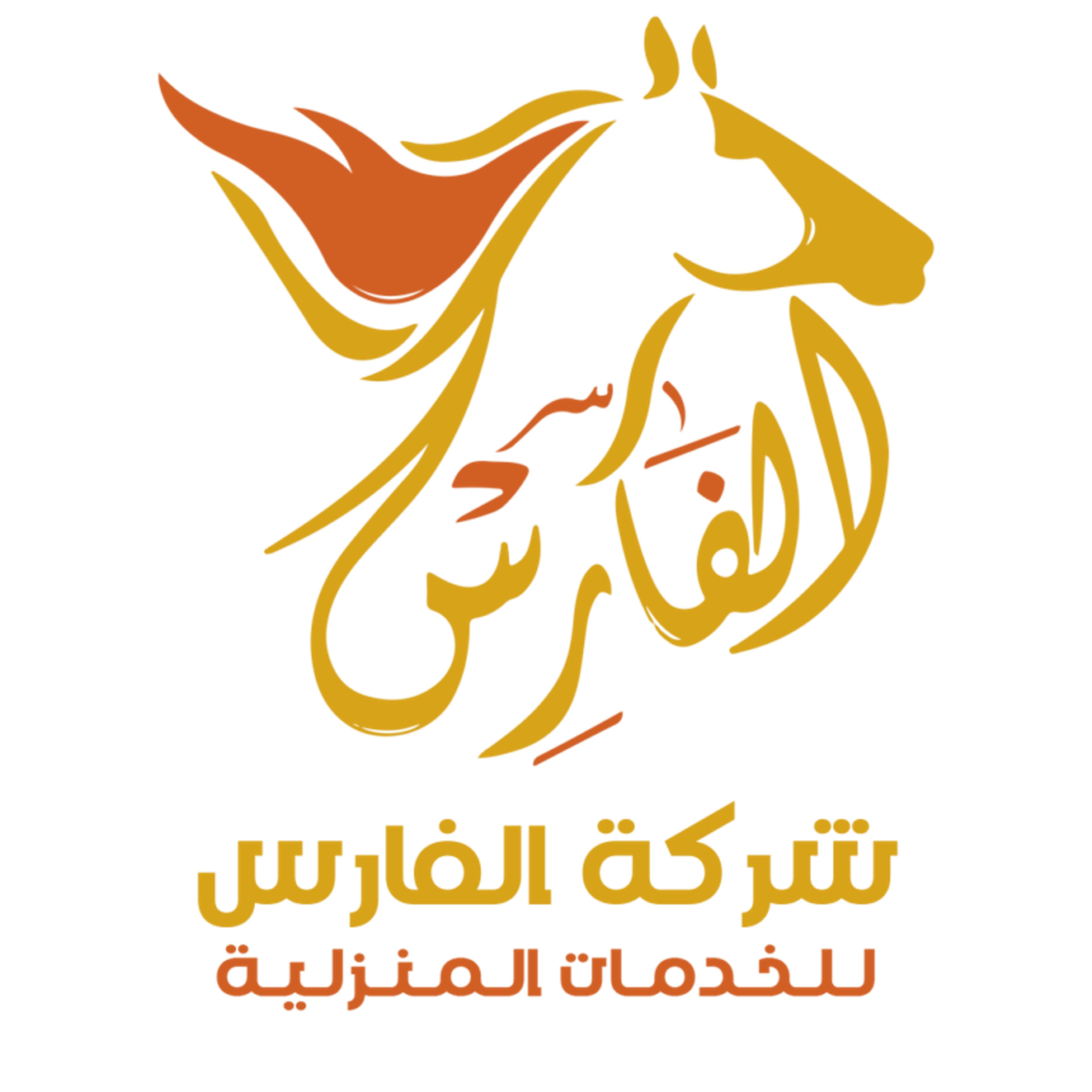 شركه تنظيف منازل