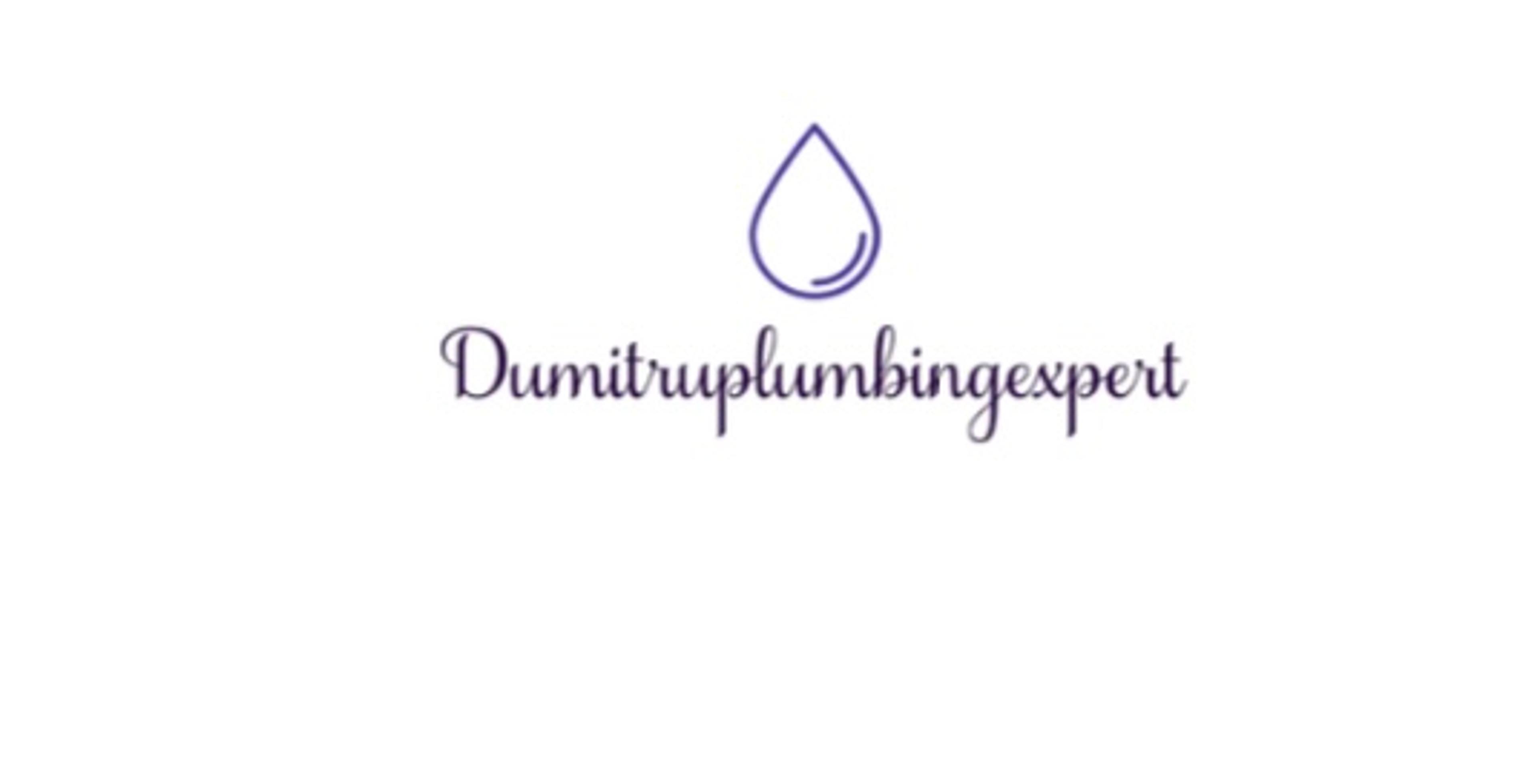 Dumitru Palachi