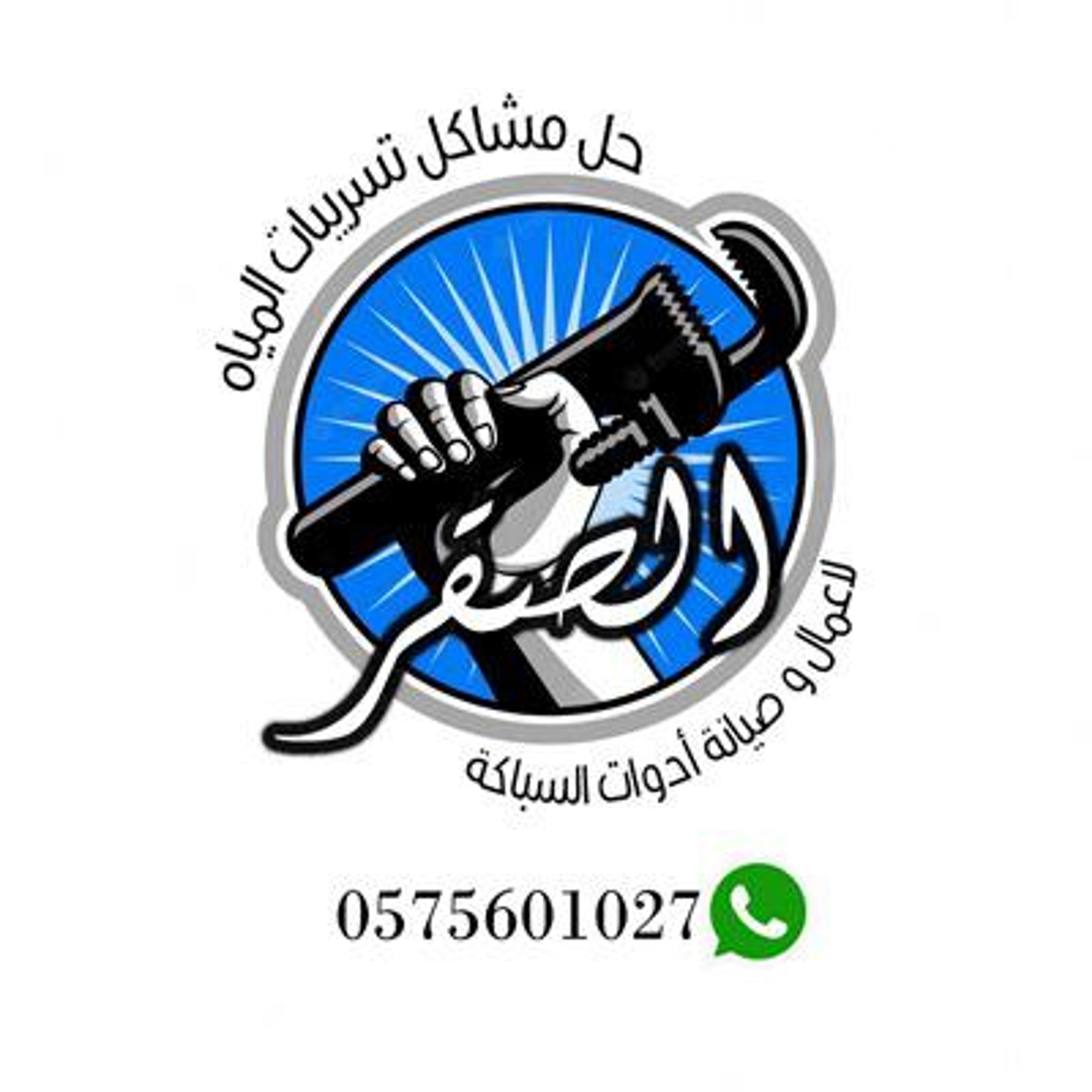 Adham Mohamedin