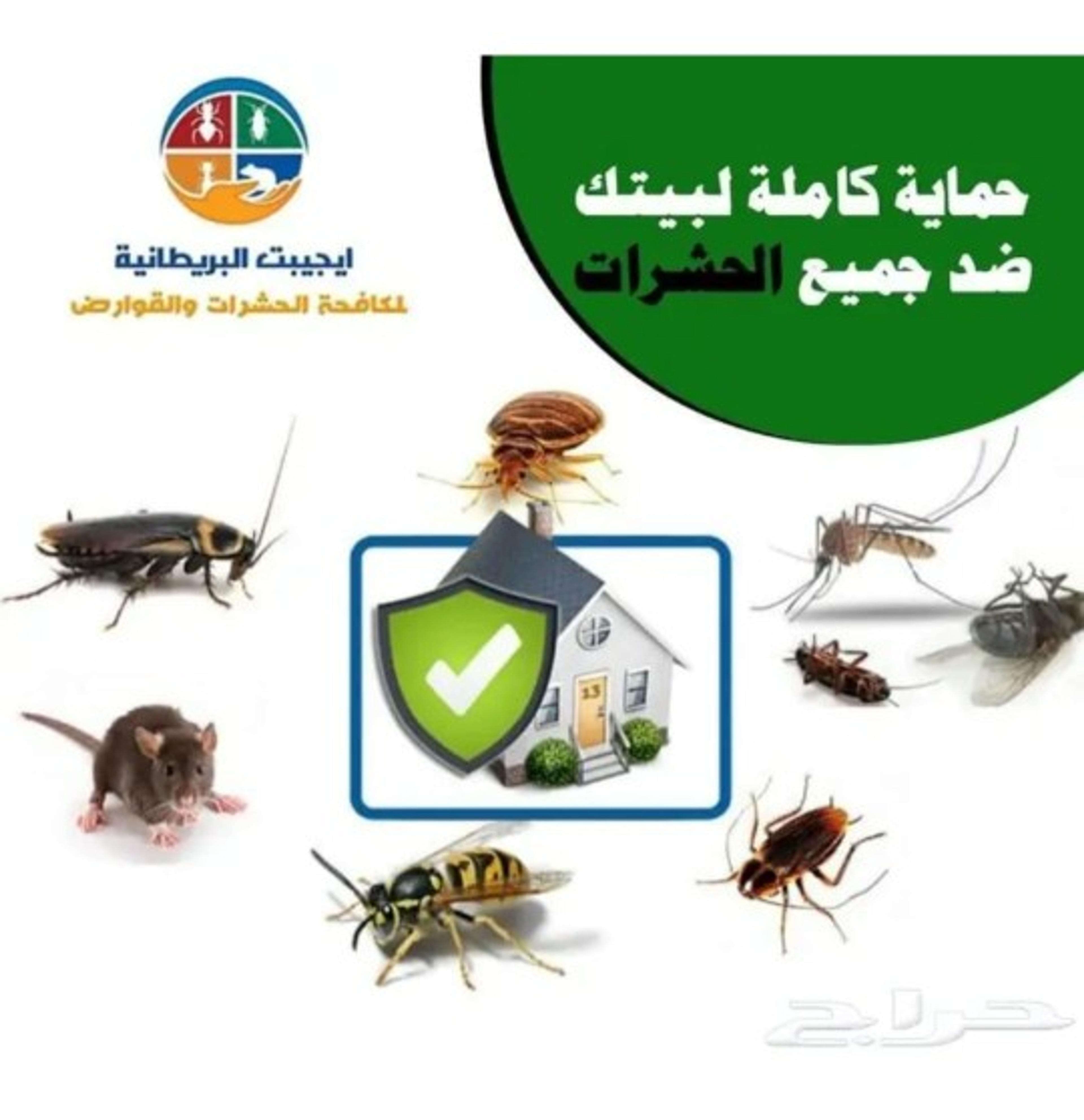 شركة مكافحة حشرات بجدة رش مبيدات رش عته بجدة