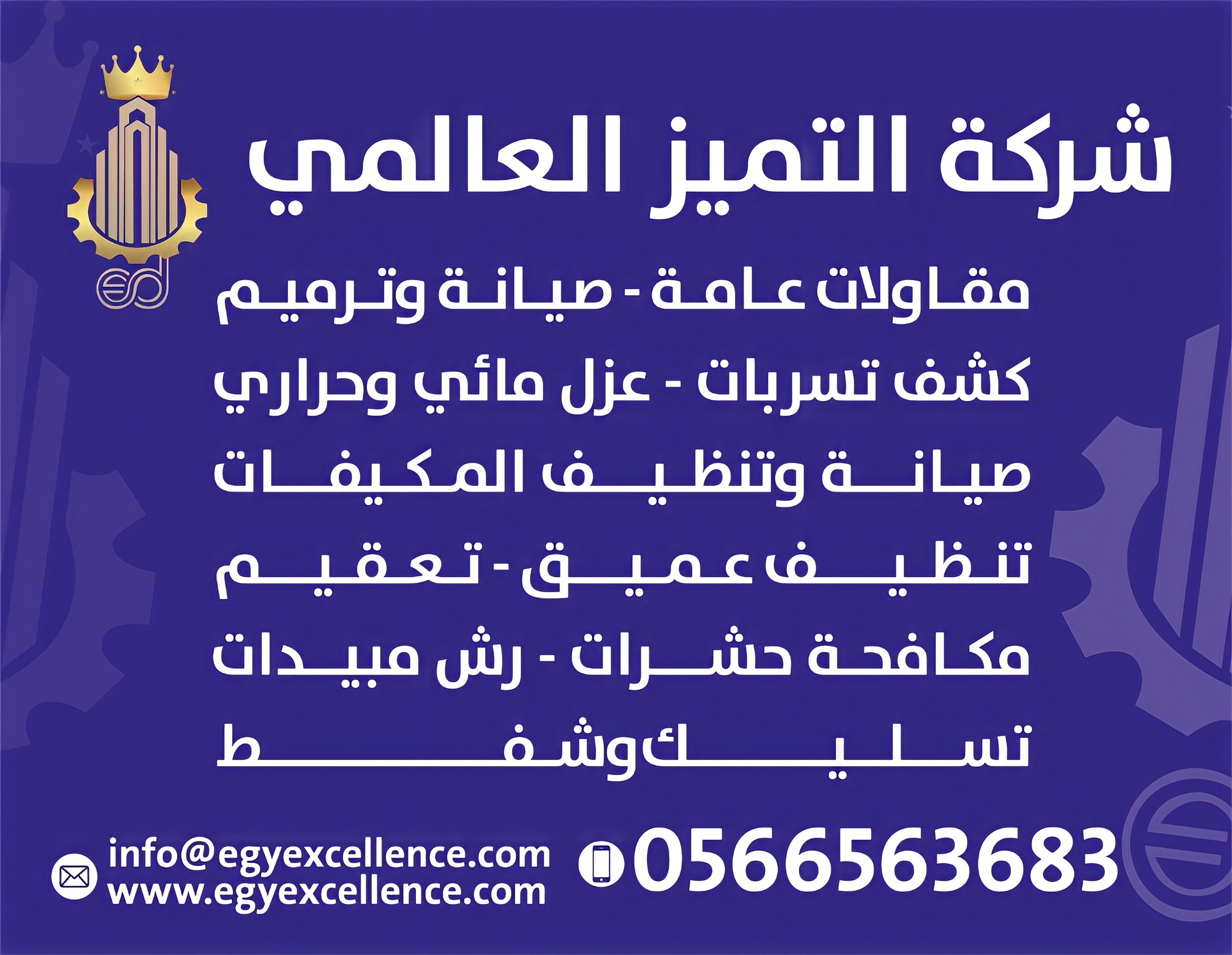 التميز العالمي