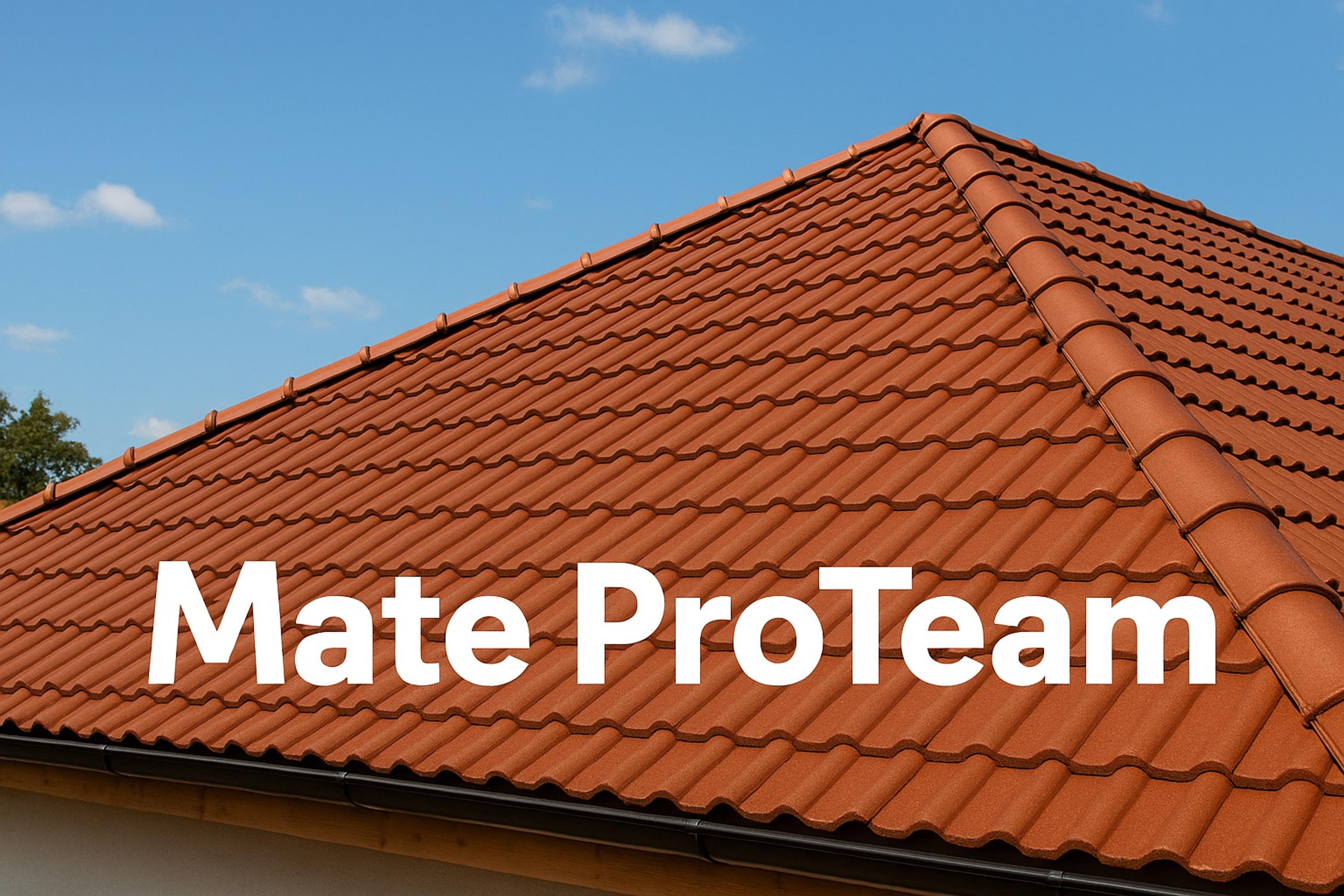 Mate ProTeam