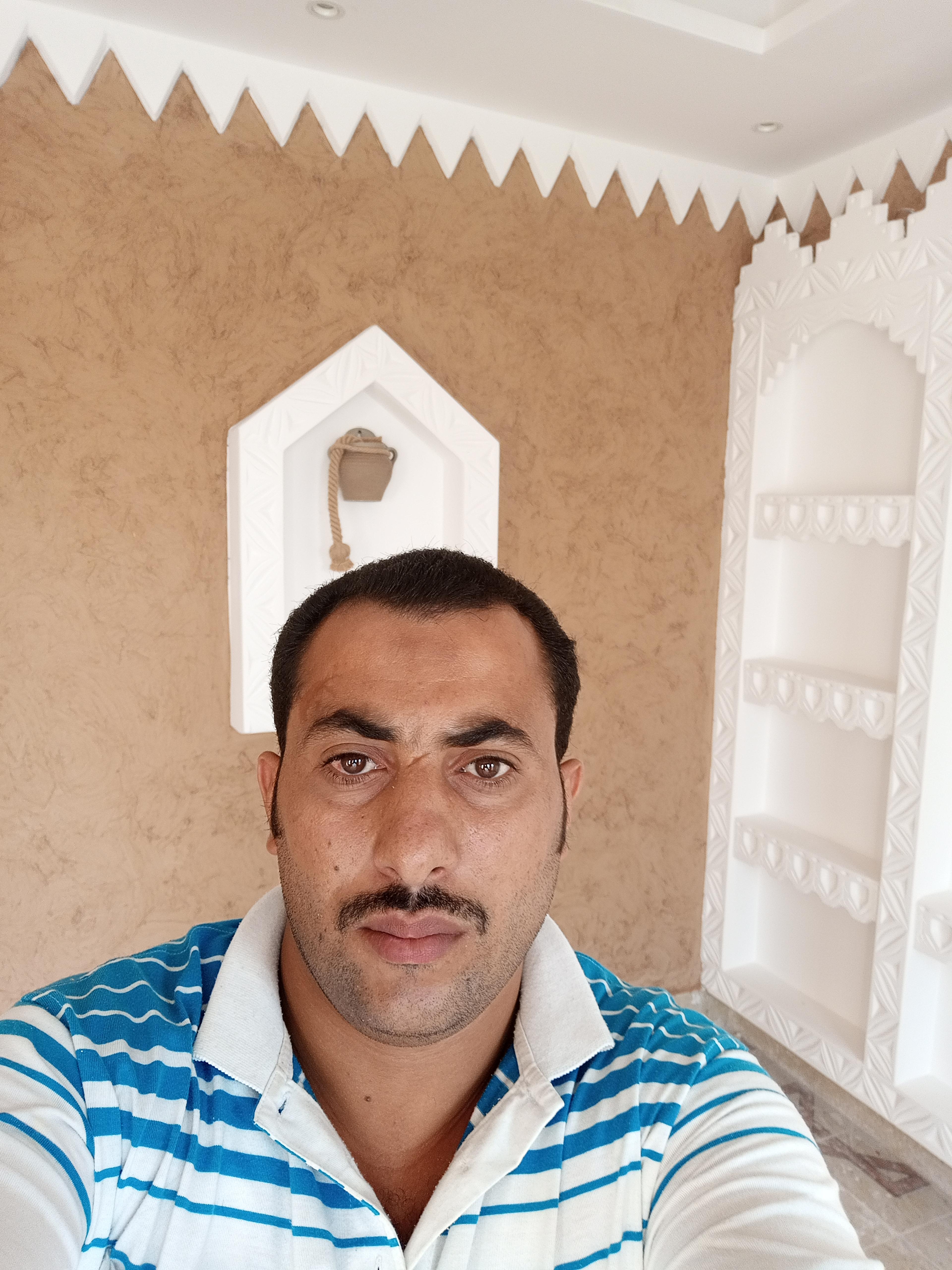 محمود توفيق