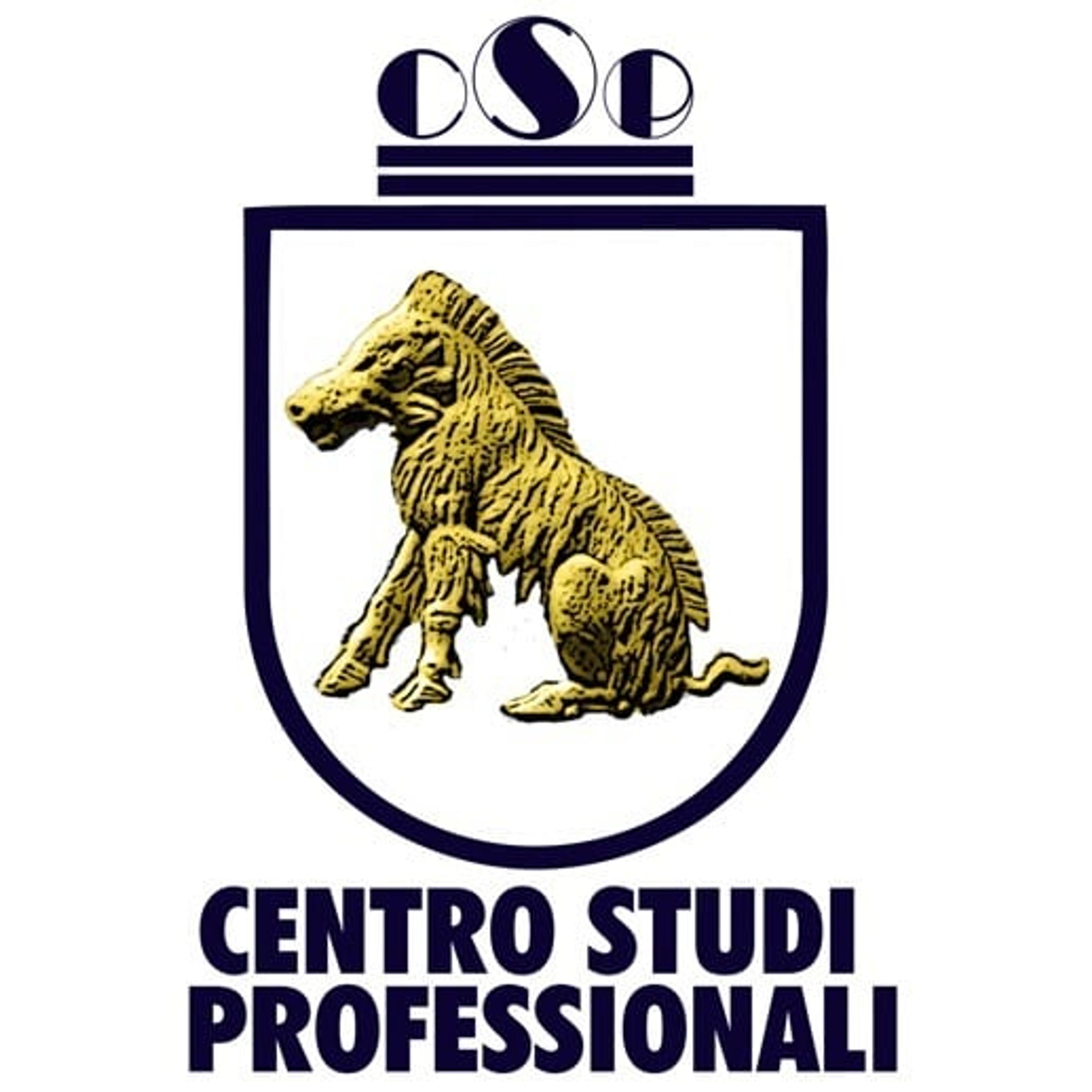 Centro Studi Professionali