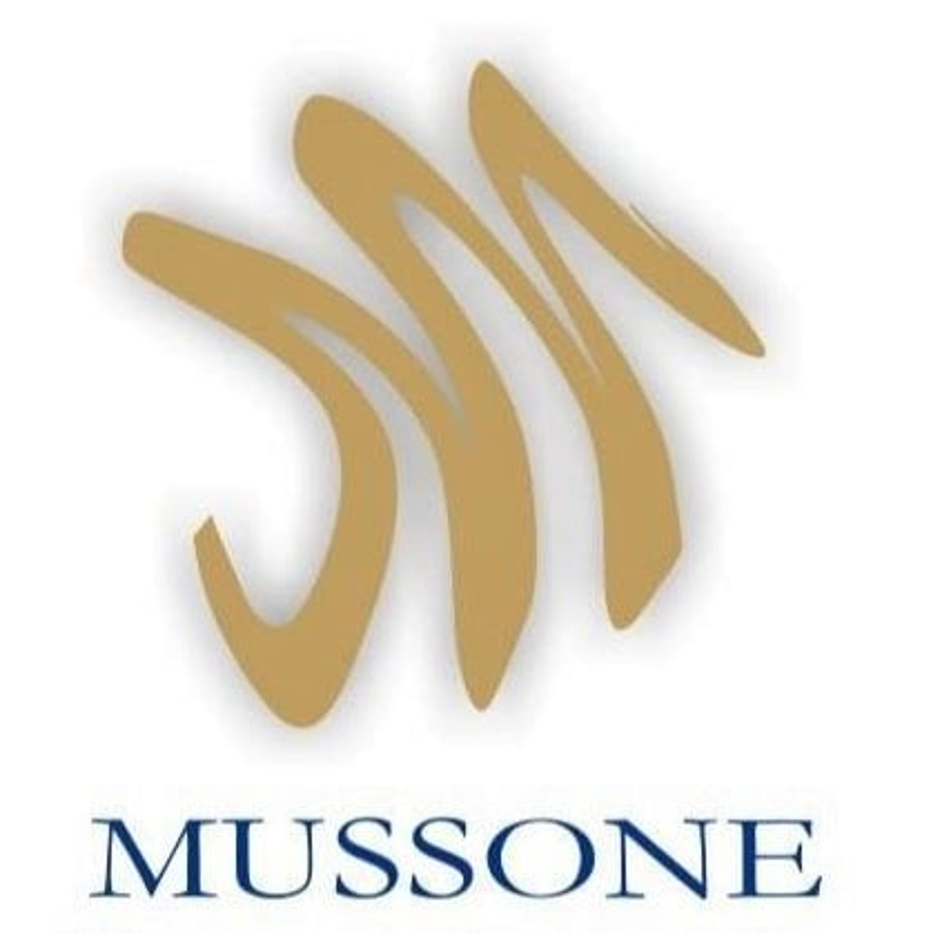 Mussone Restauro