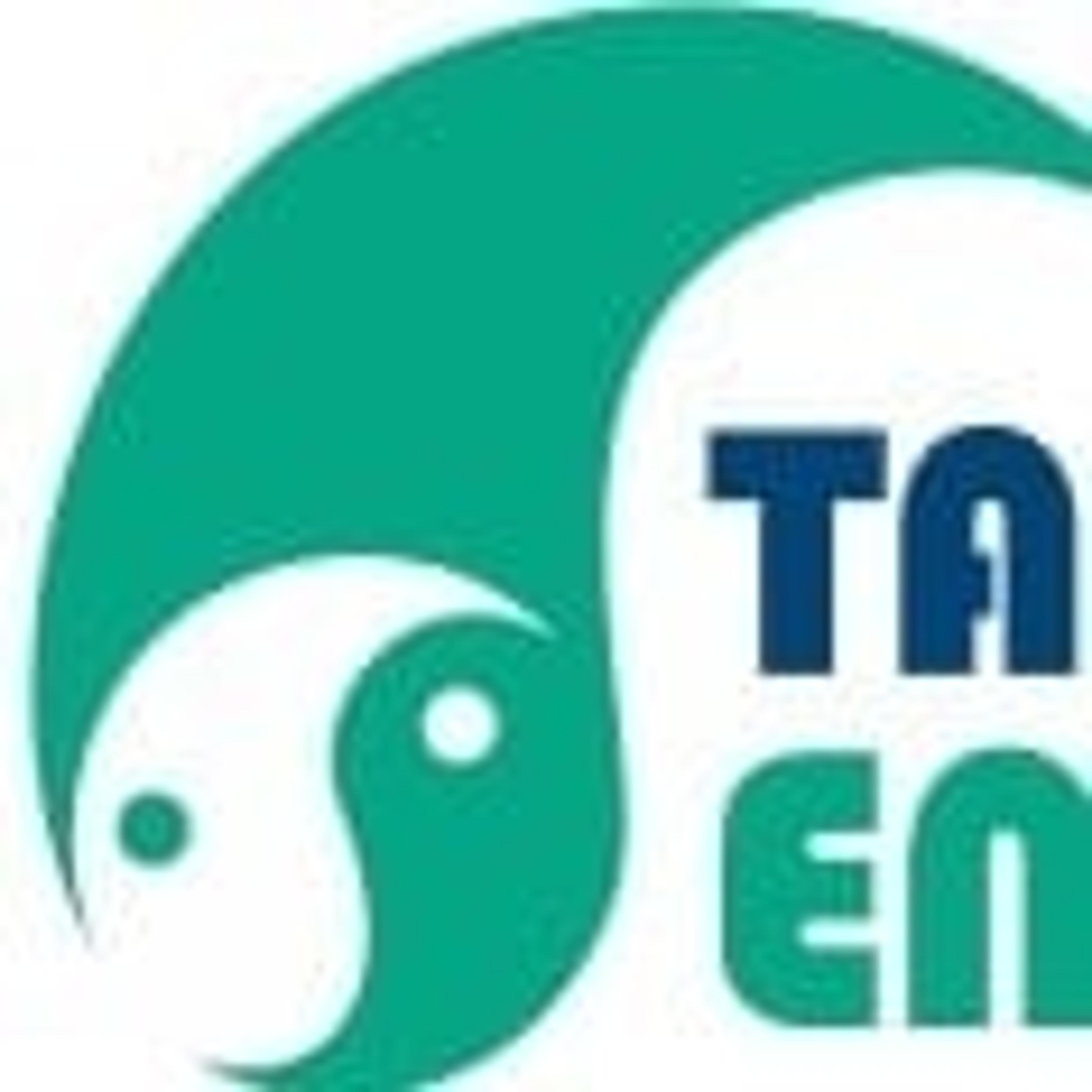 TAO Energy S.R.L.