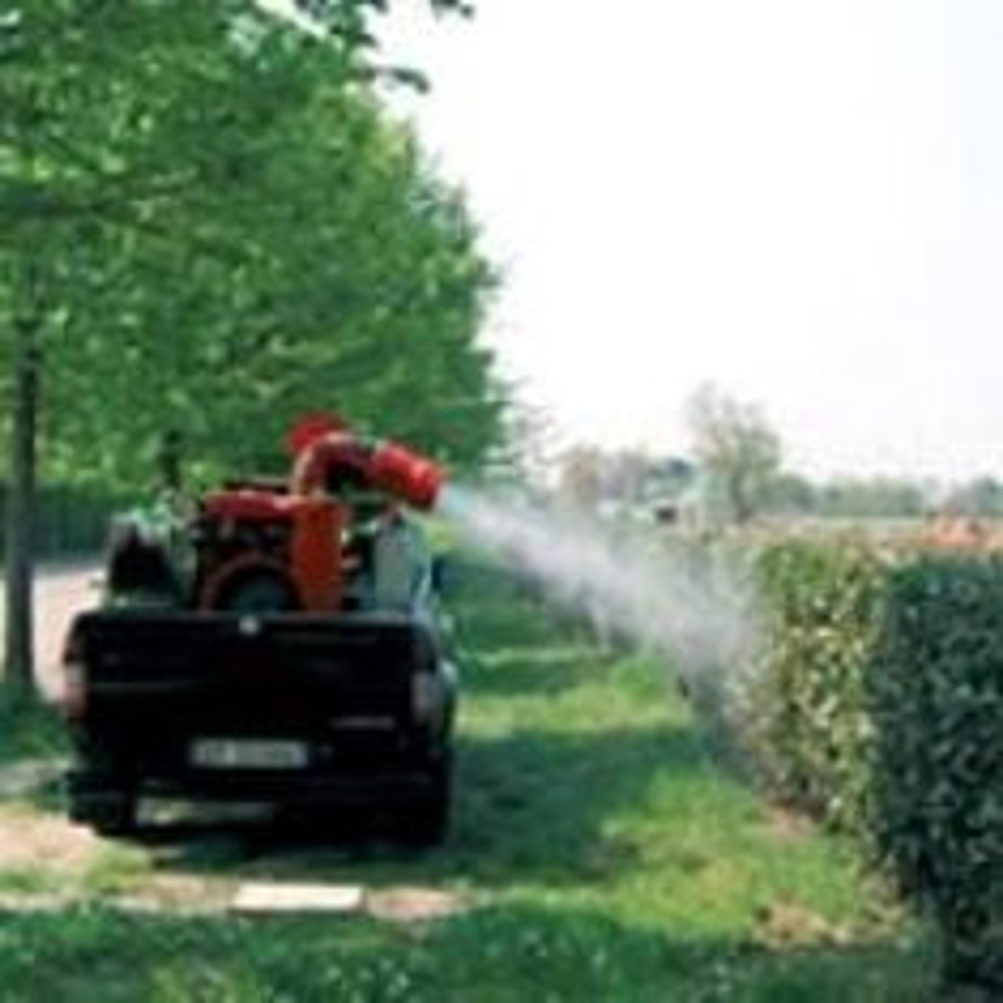 Disinfestazione derattizzazzione deblatizzazzione