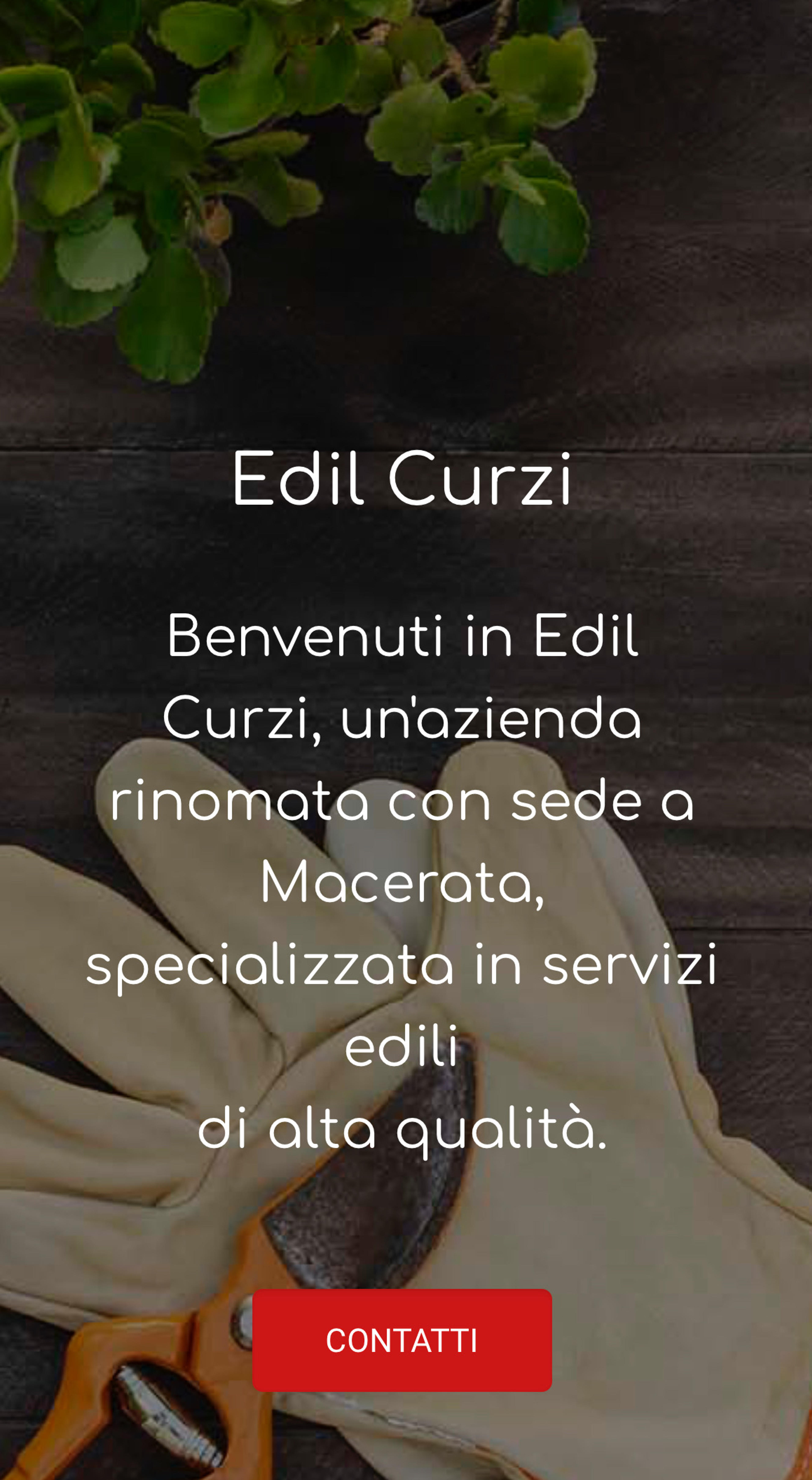 Francesco Curzi