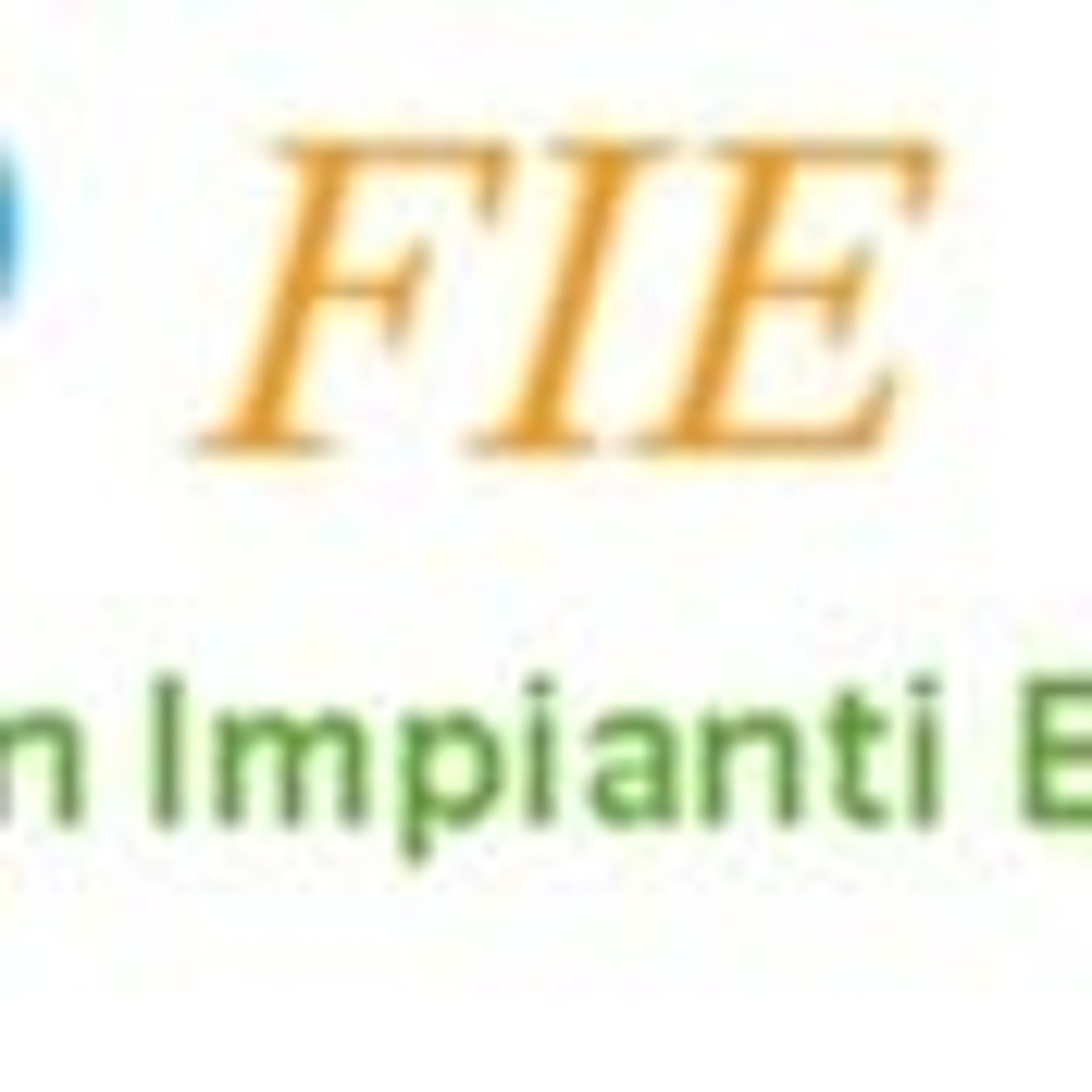 FIE Fanton Impianti Elettrici