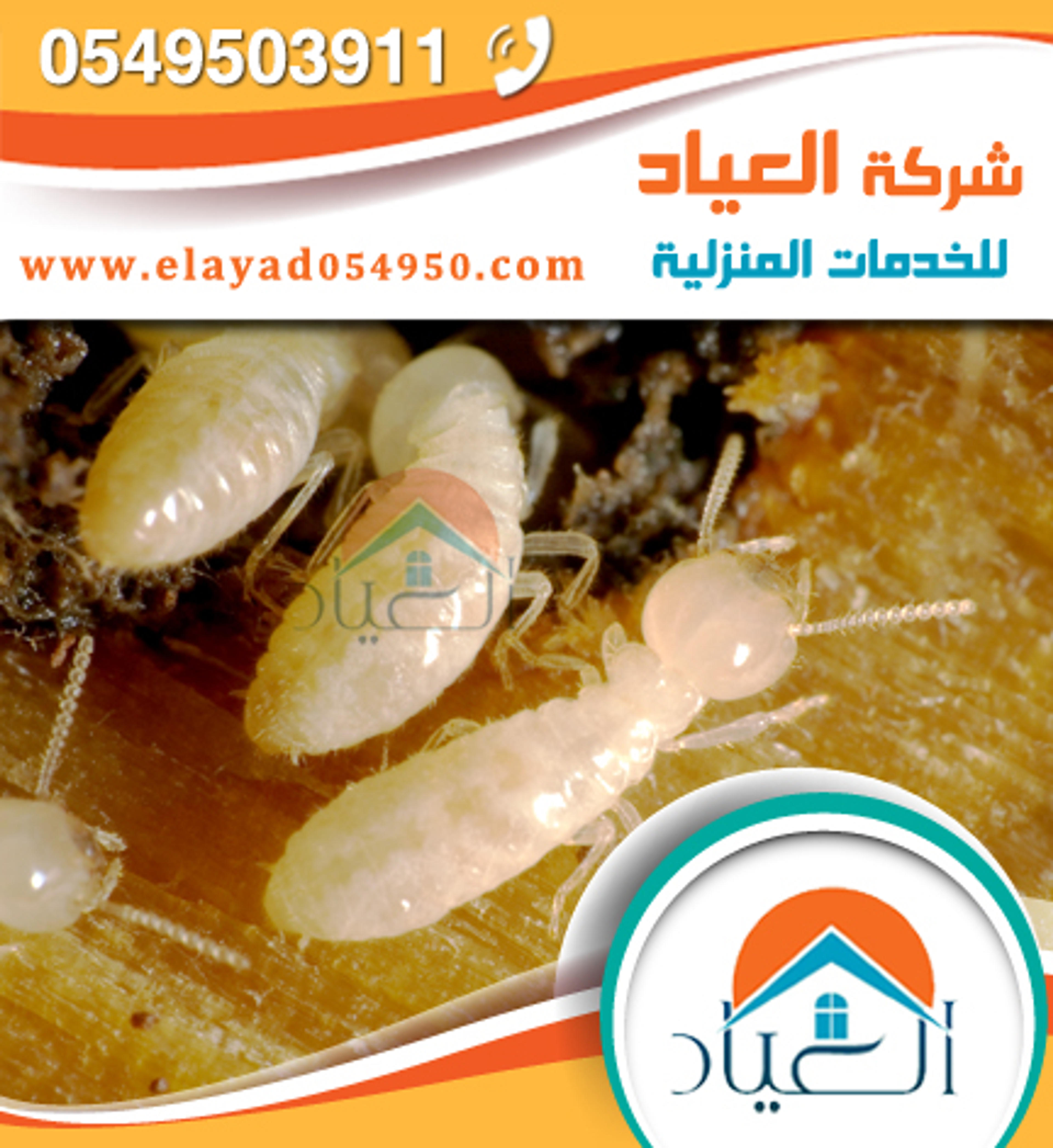 شركة العياد