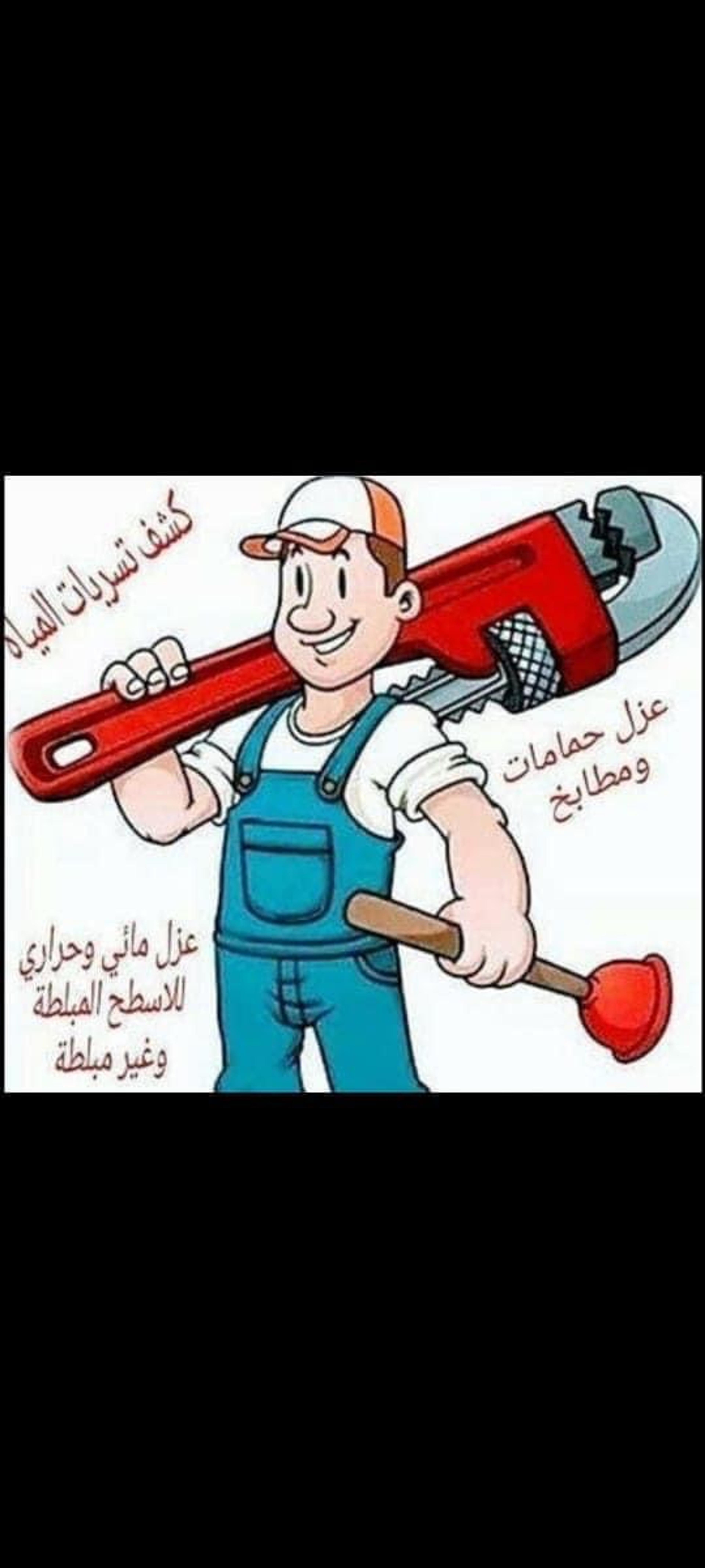 شركة الصفا