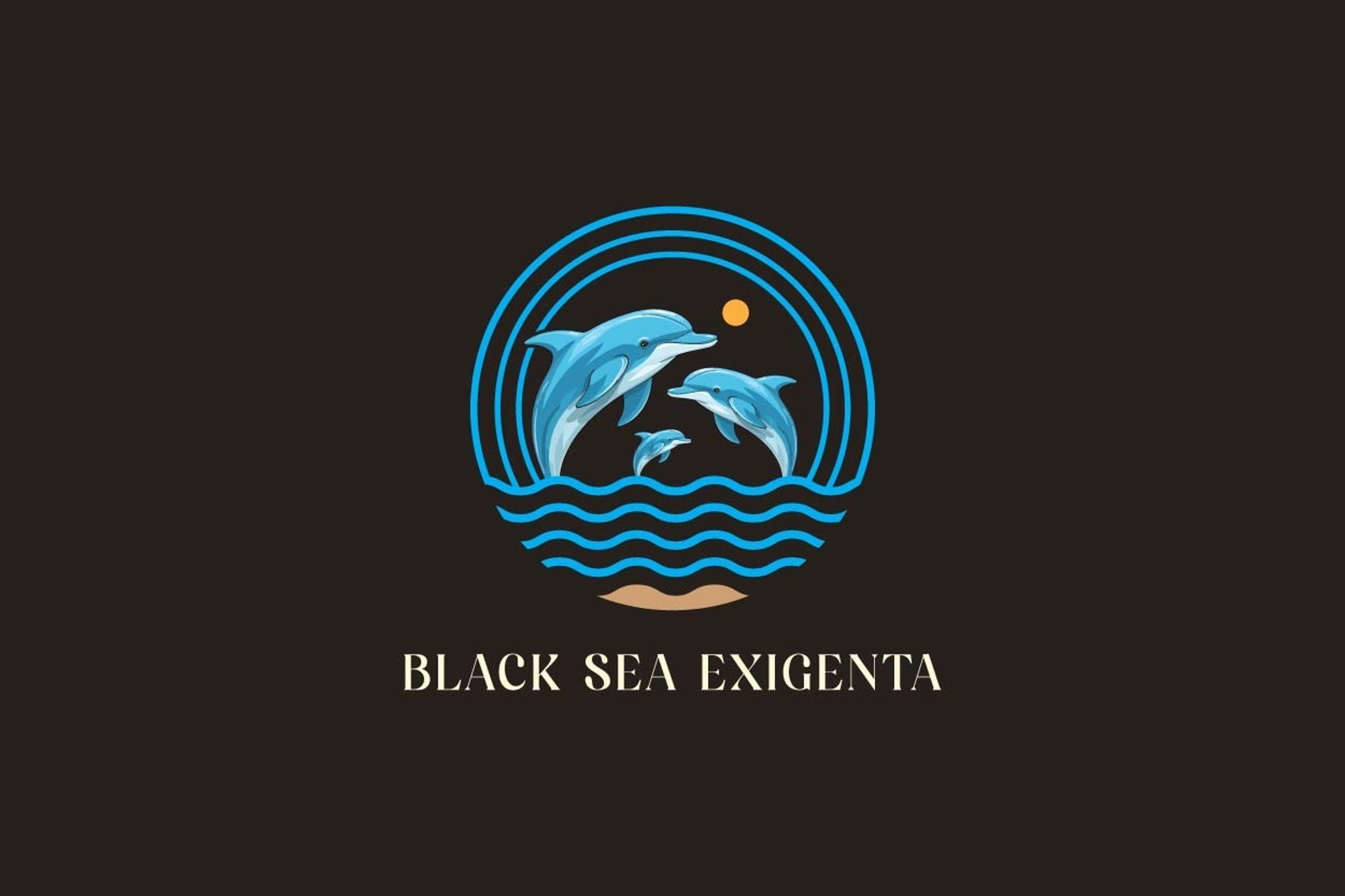 BLACK SEA EXIGENTA