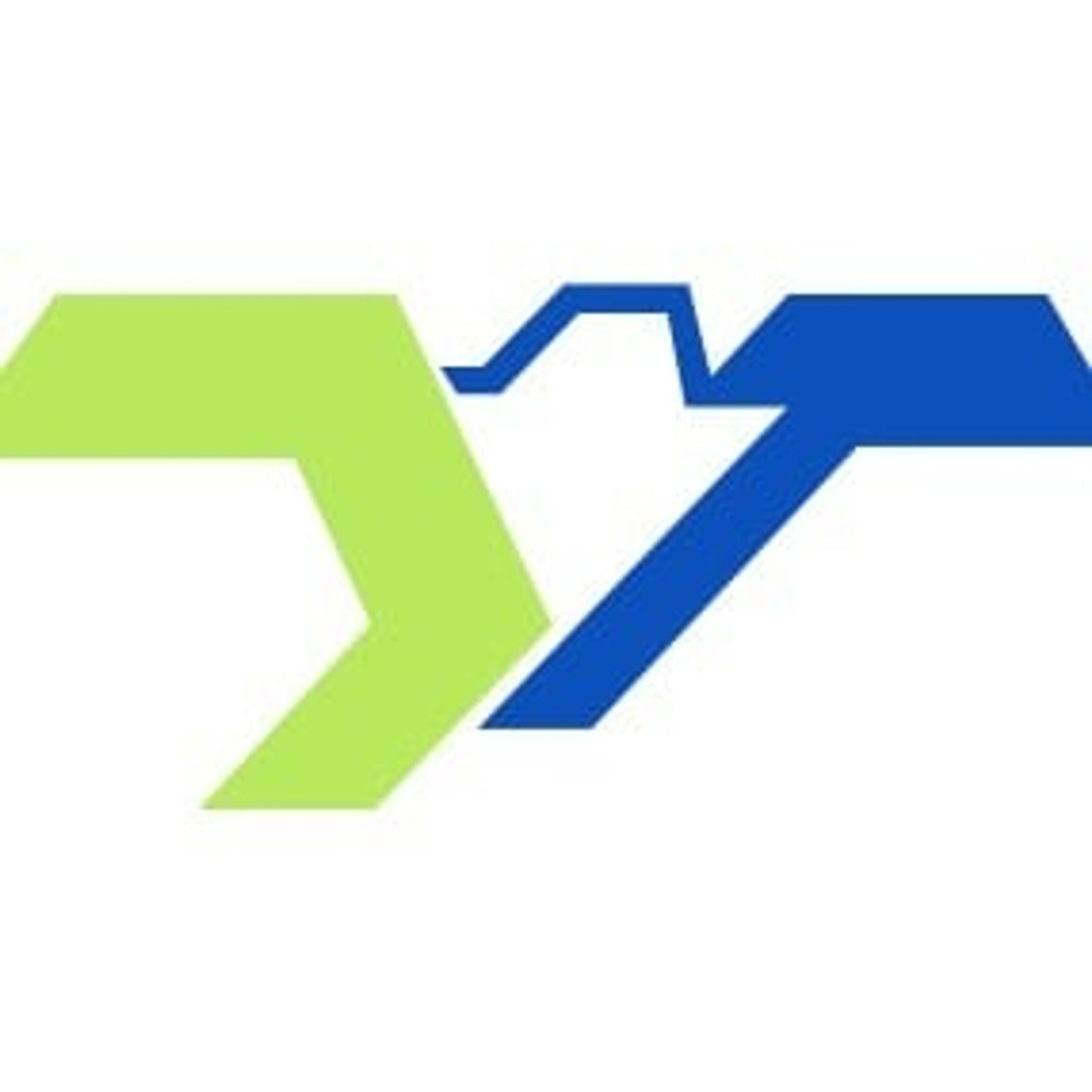 Team Service Srls