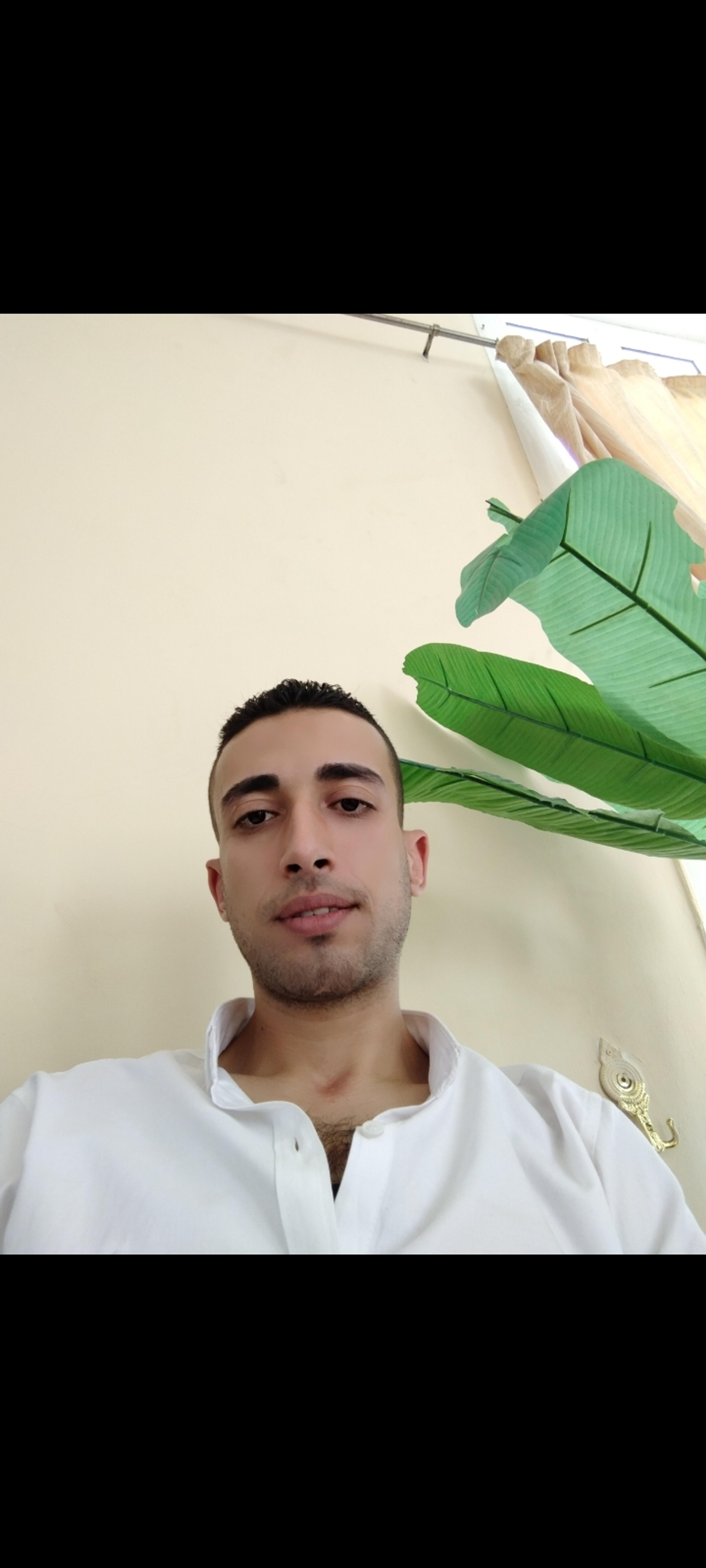 Iie. International Insect Extermination