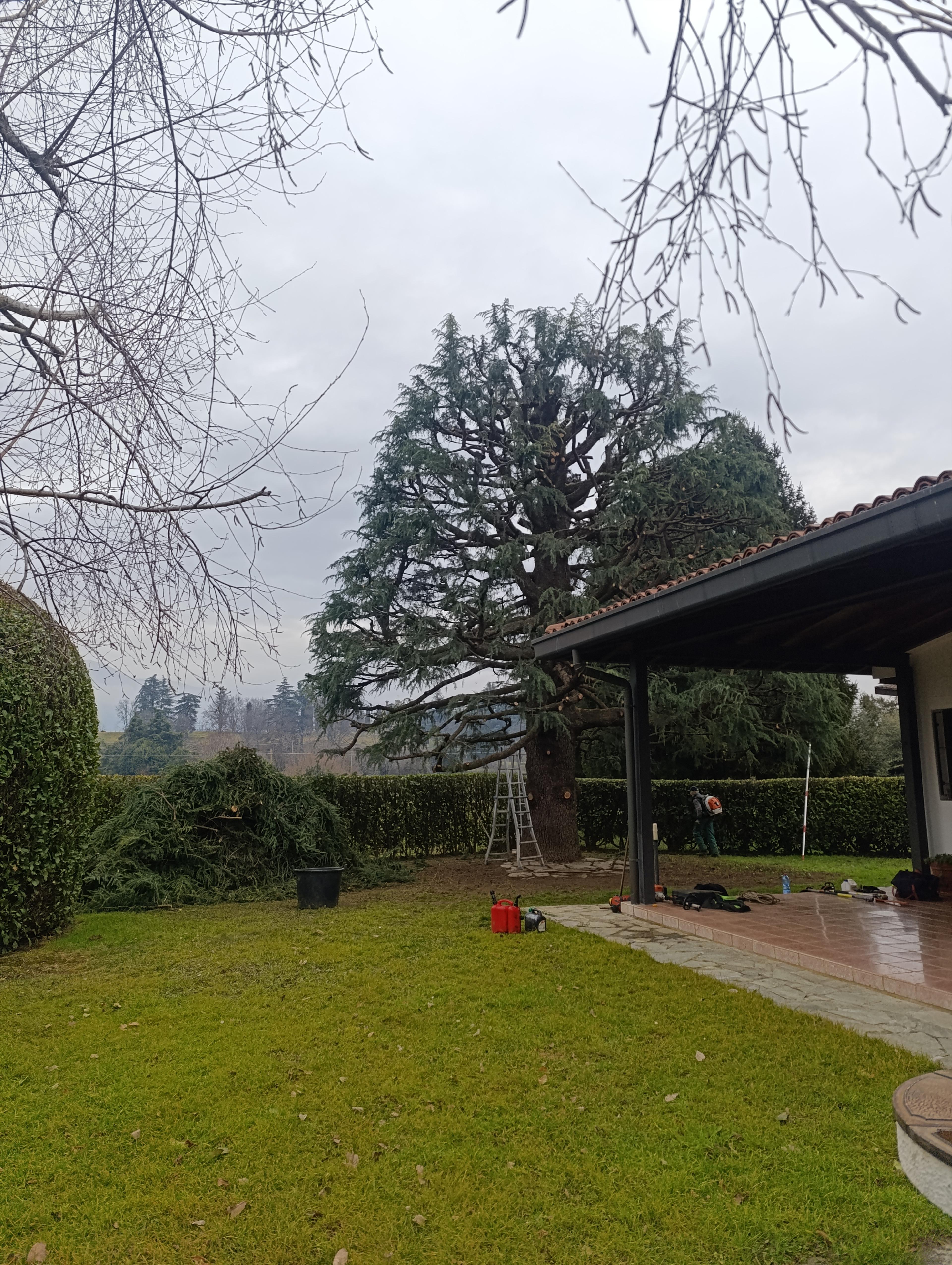 Azienda florovivaistica Delvó