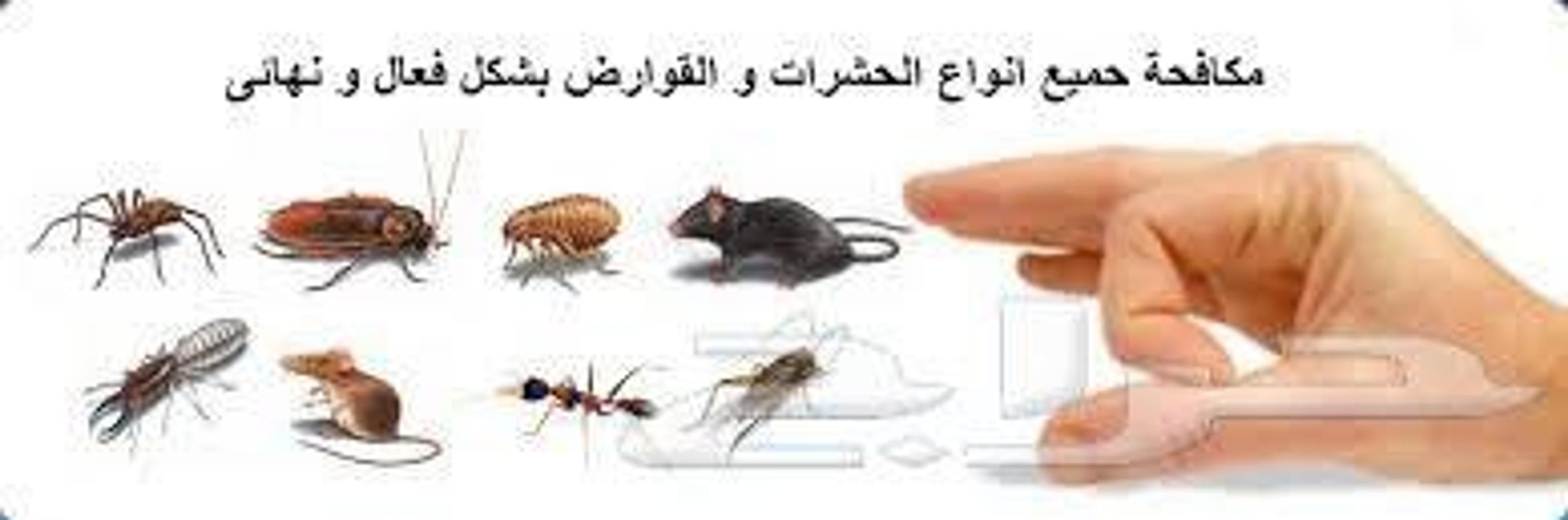 شركة دار المهاره