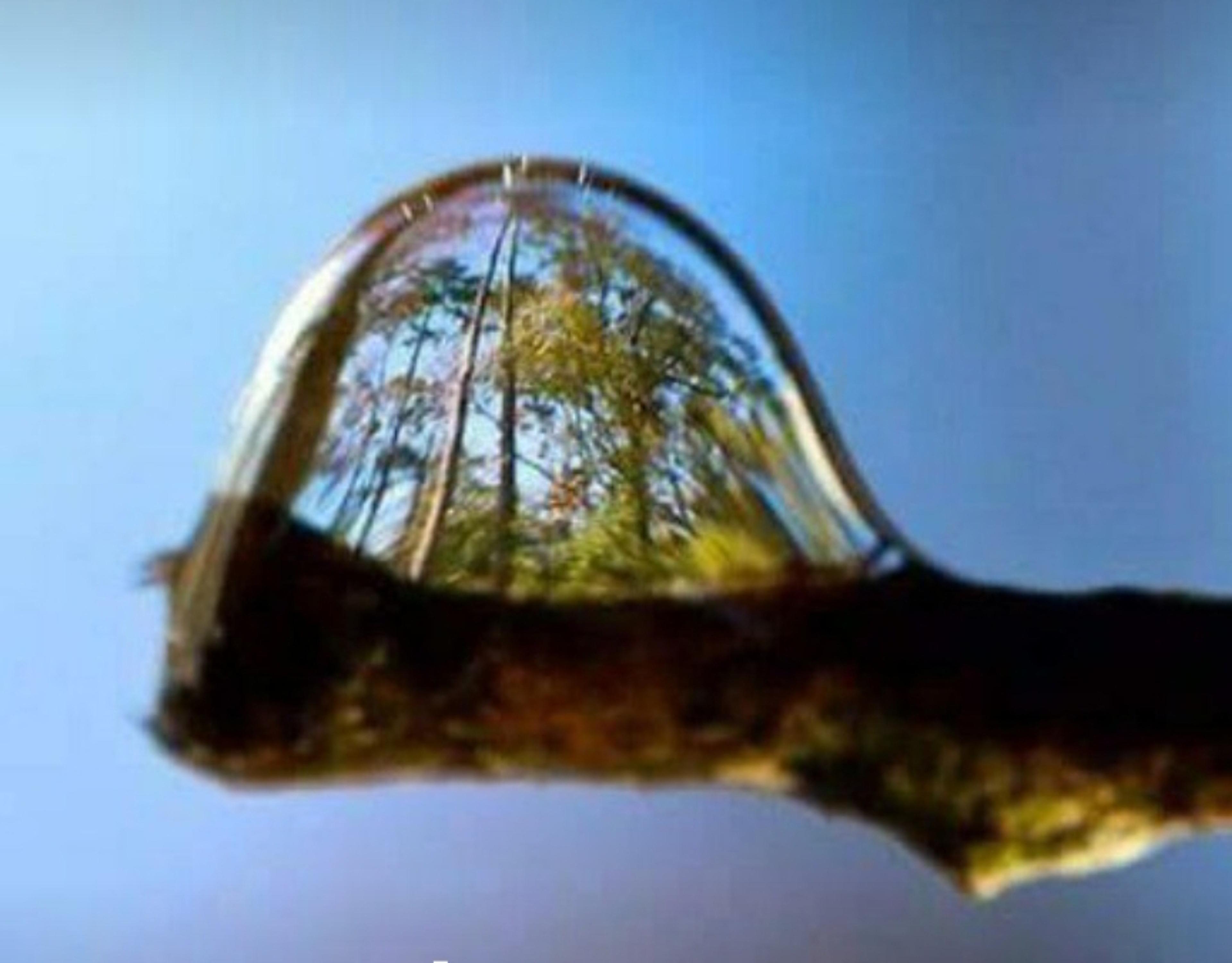 Natura in Armonia