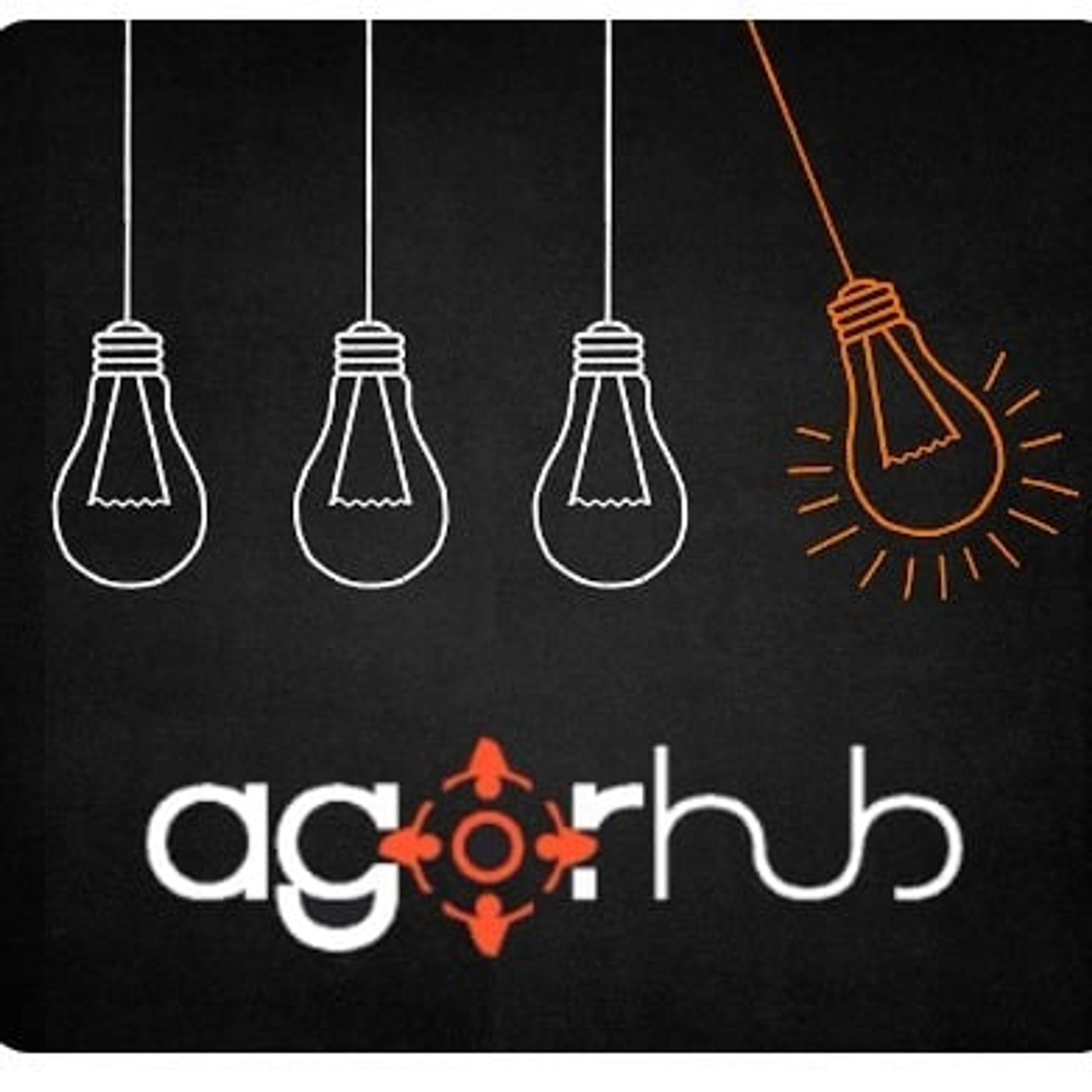 AGORHUB SRL