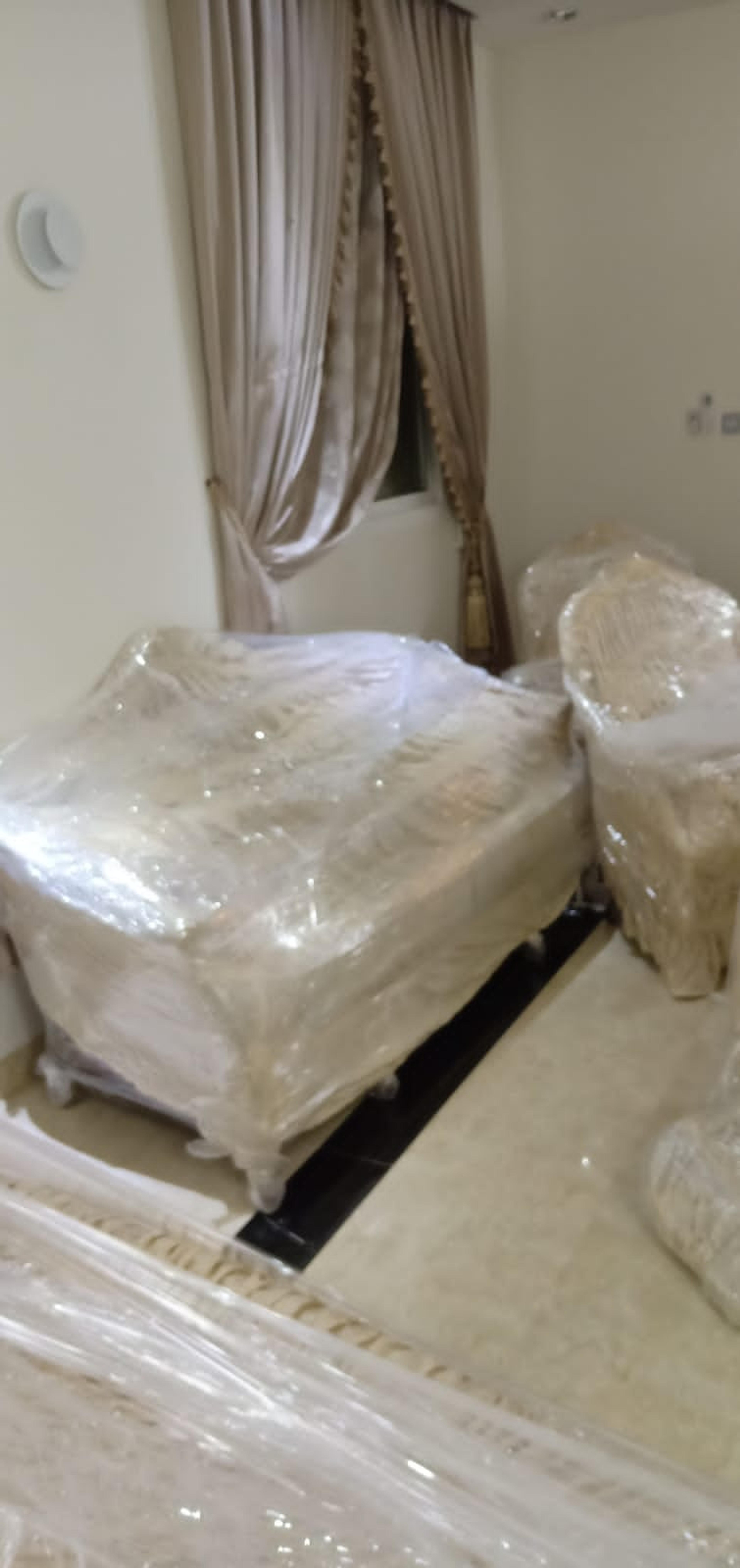خيول العرب