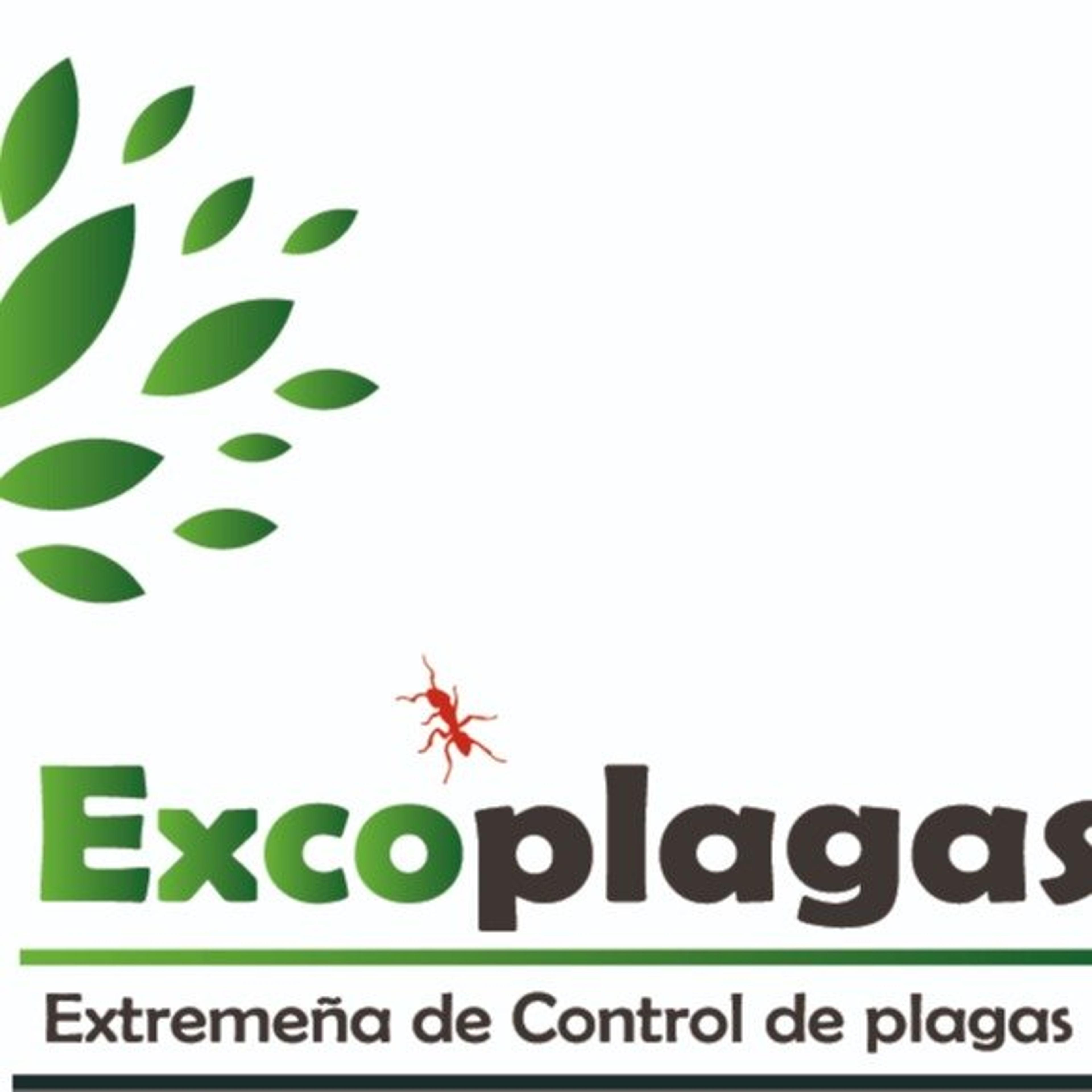 EXCOPLAGAS