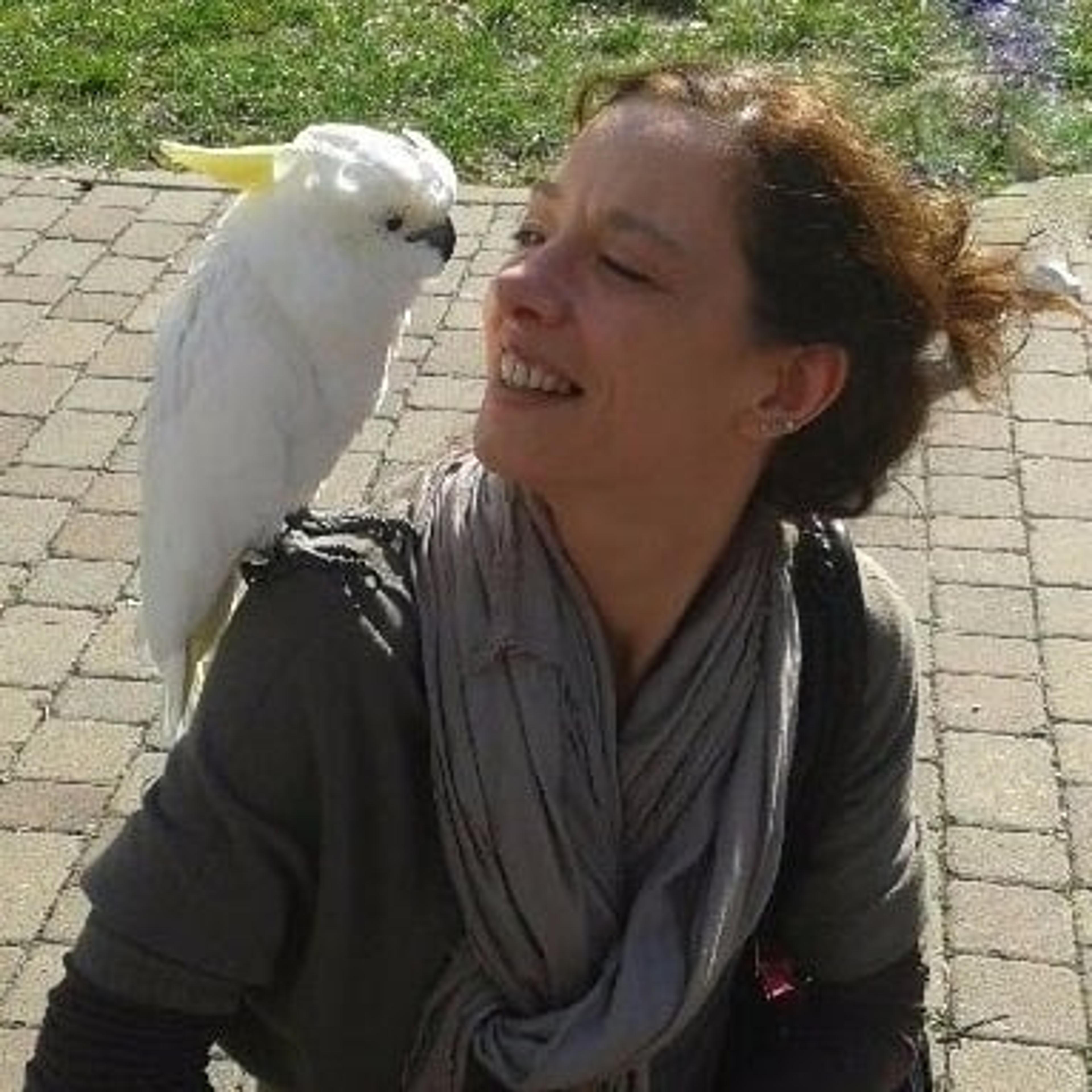 Paola Biasiato docente di inglese, traduttrice, content writer