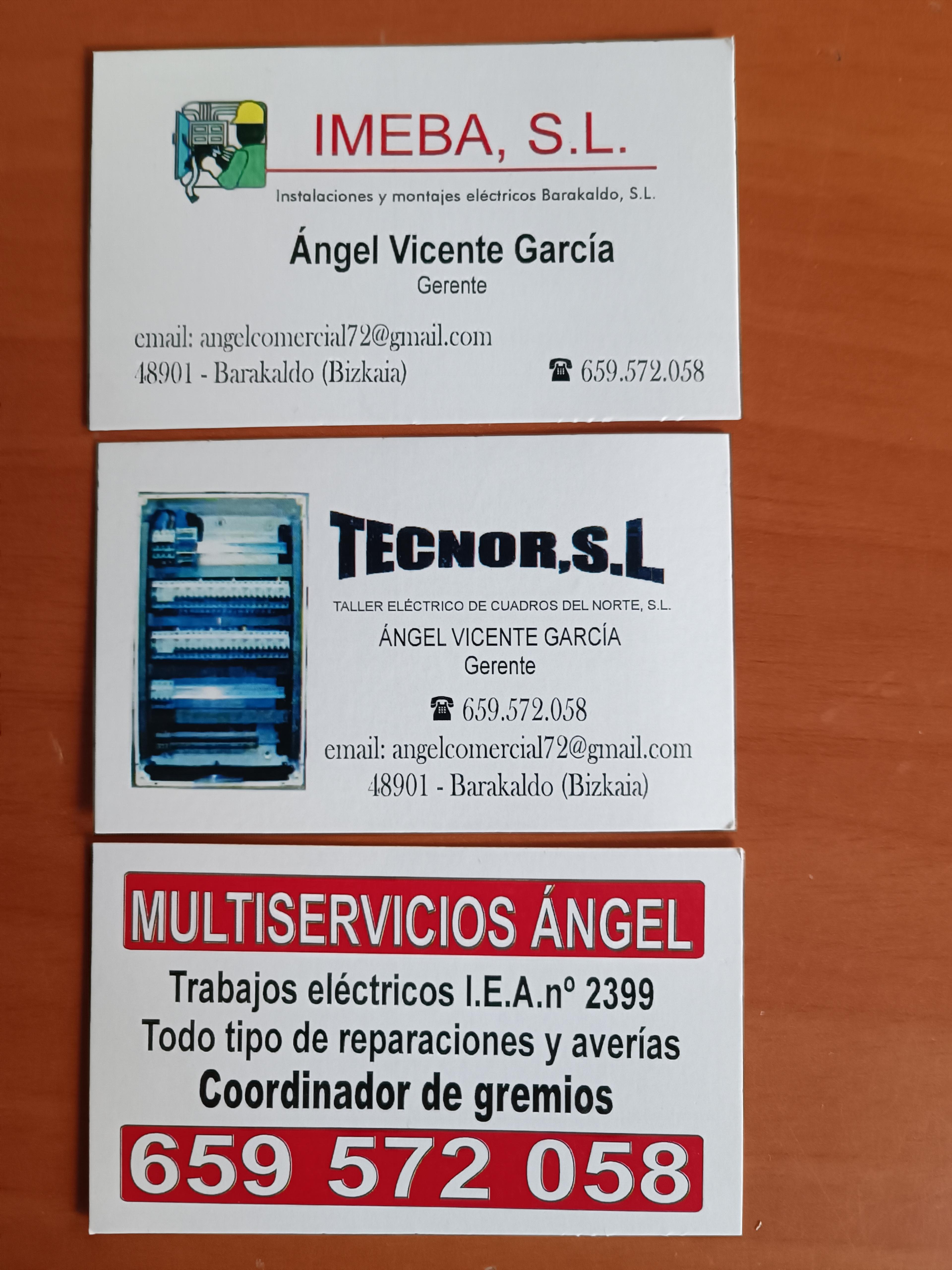 Angel Vicente Garcia