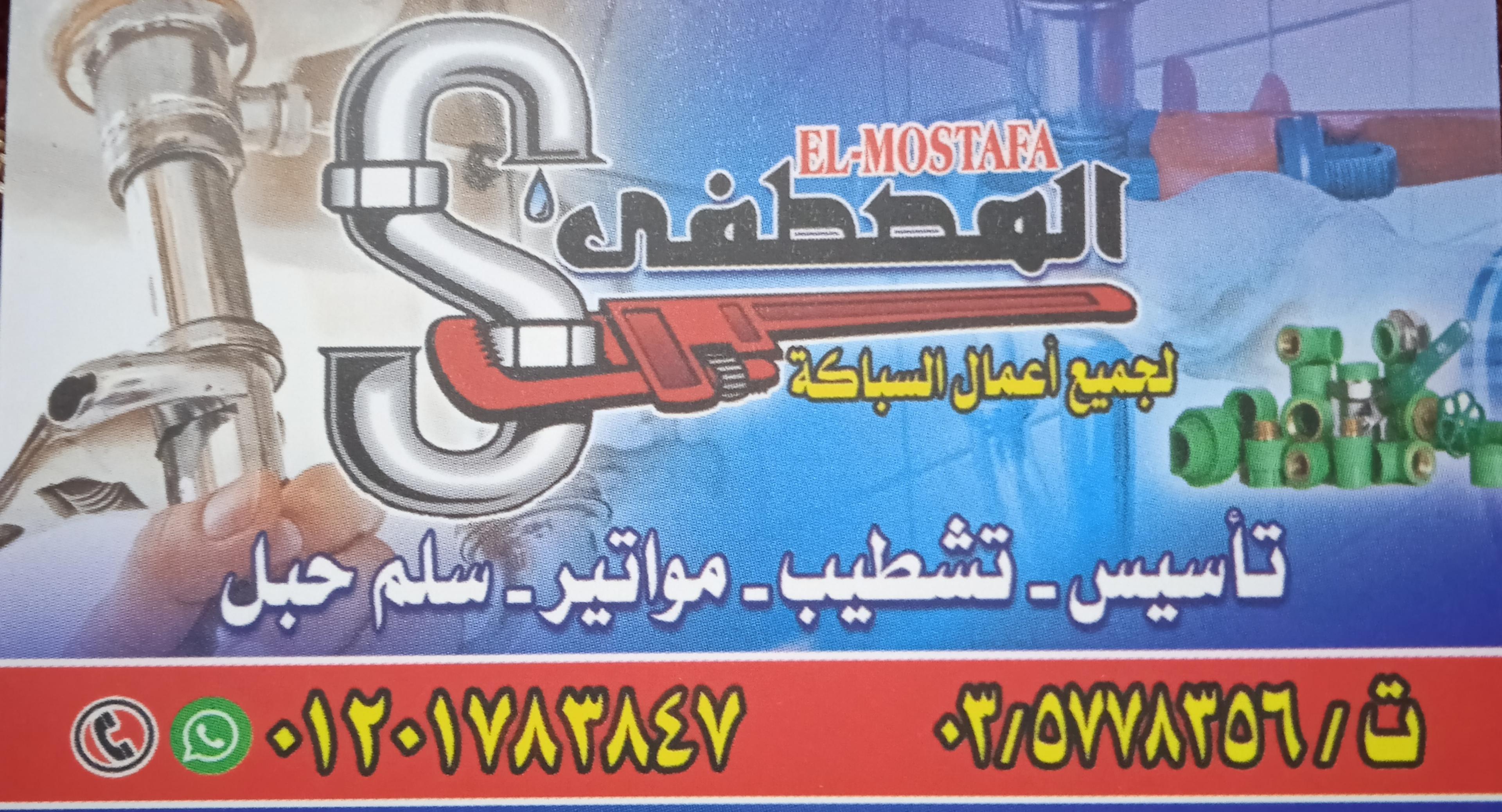 ابو رودينا