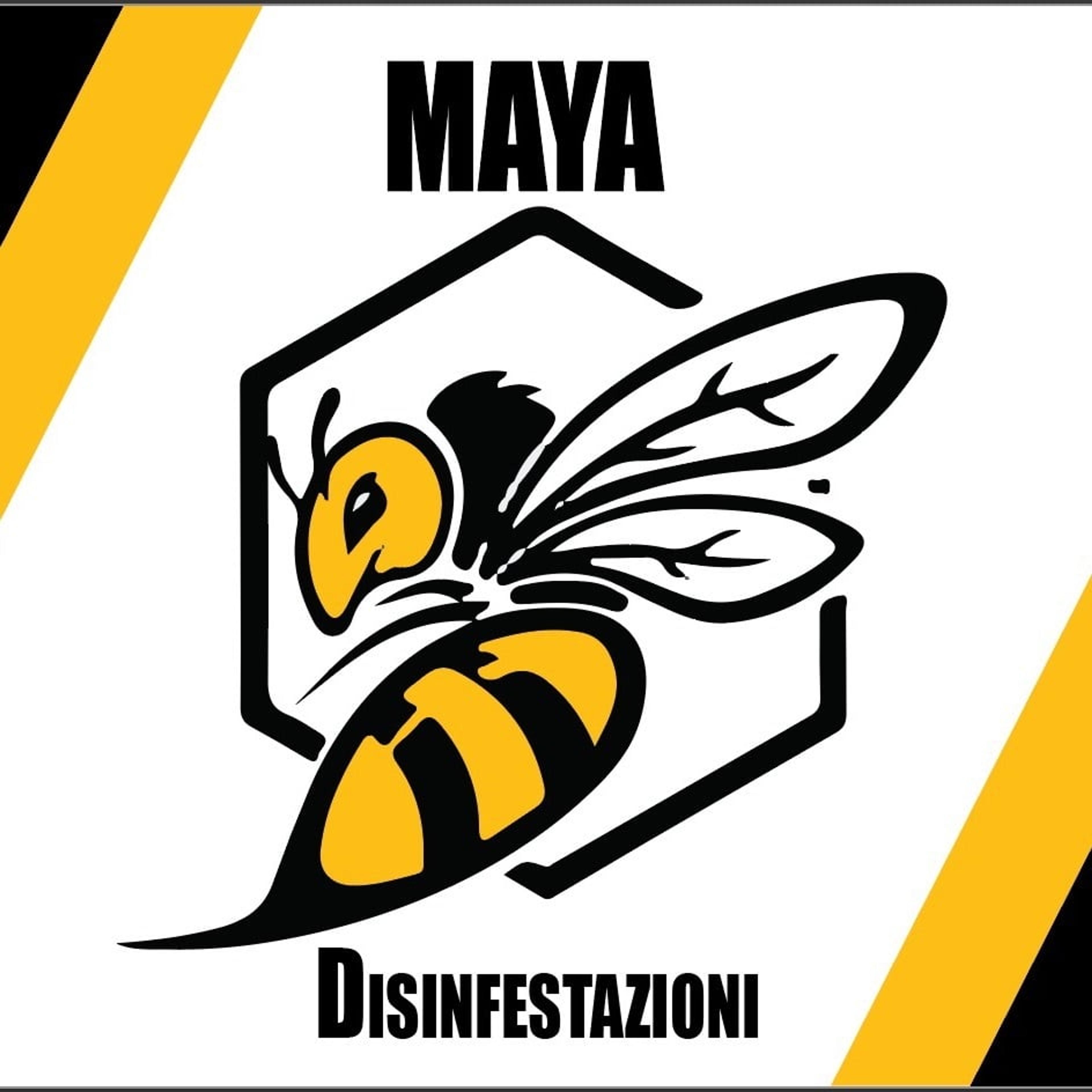 Maya disinfestazioni