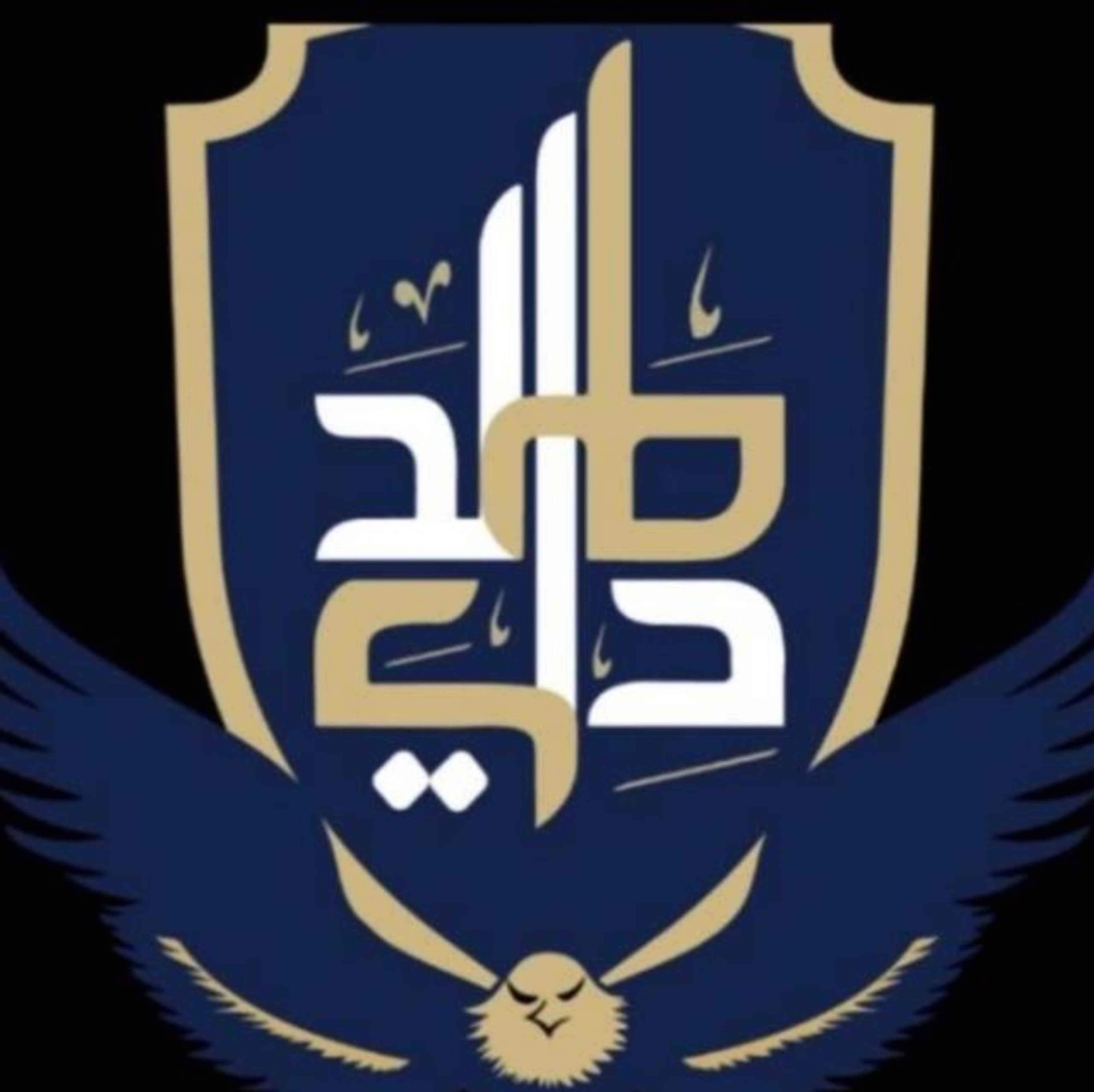 المعادي للامن والحراسه