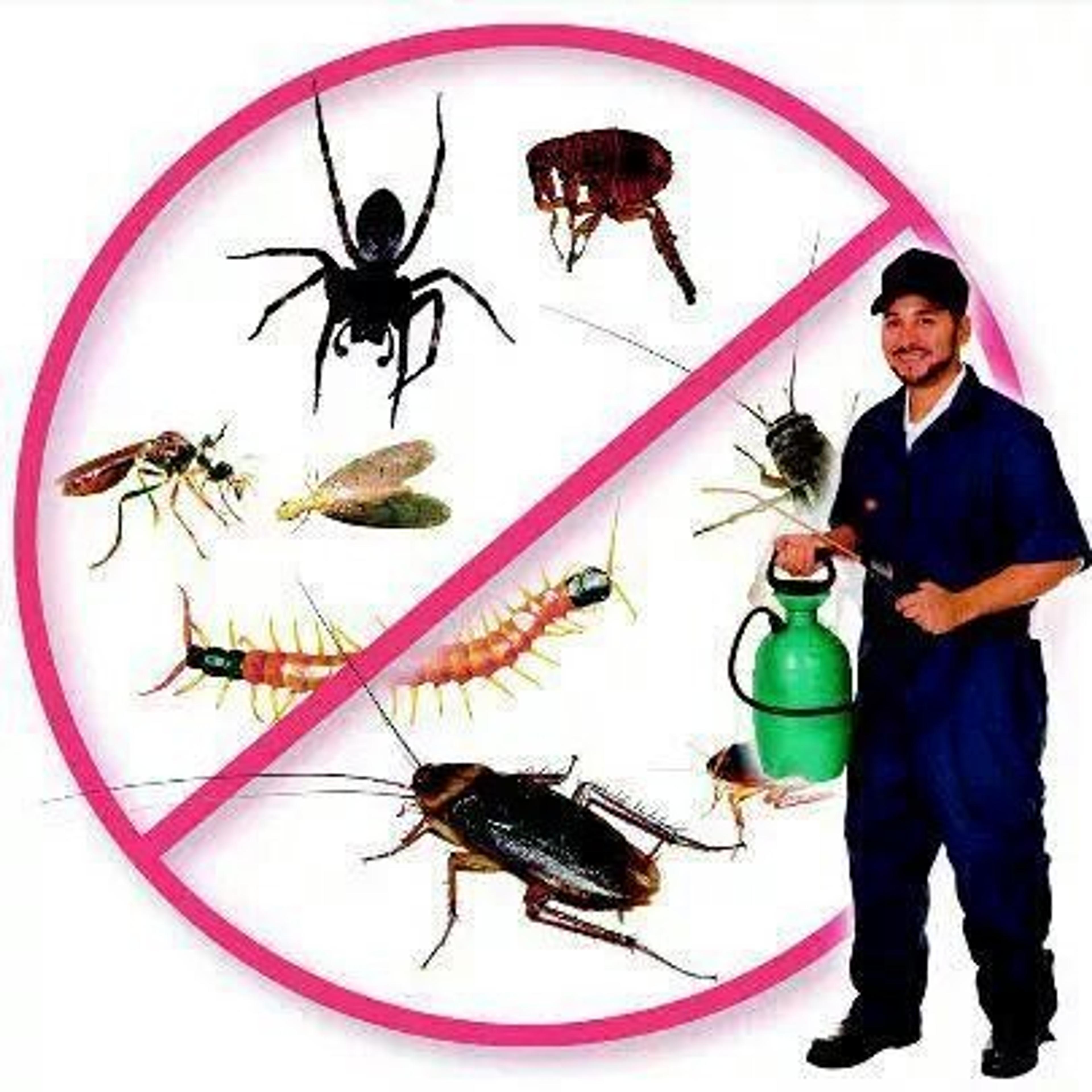 شركة أجيال الرياض