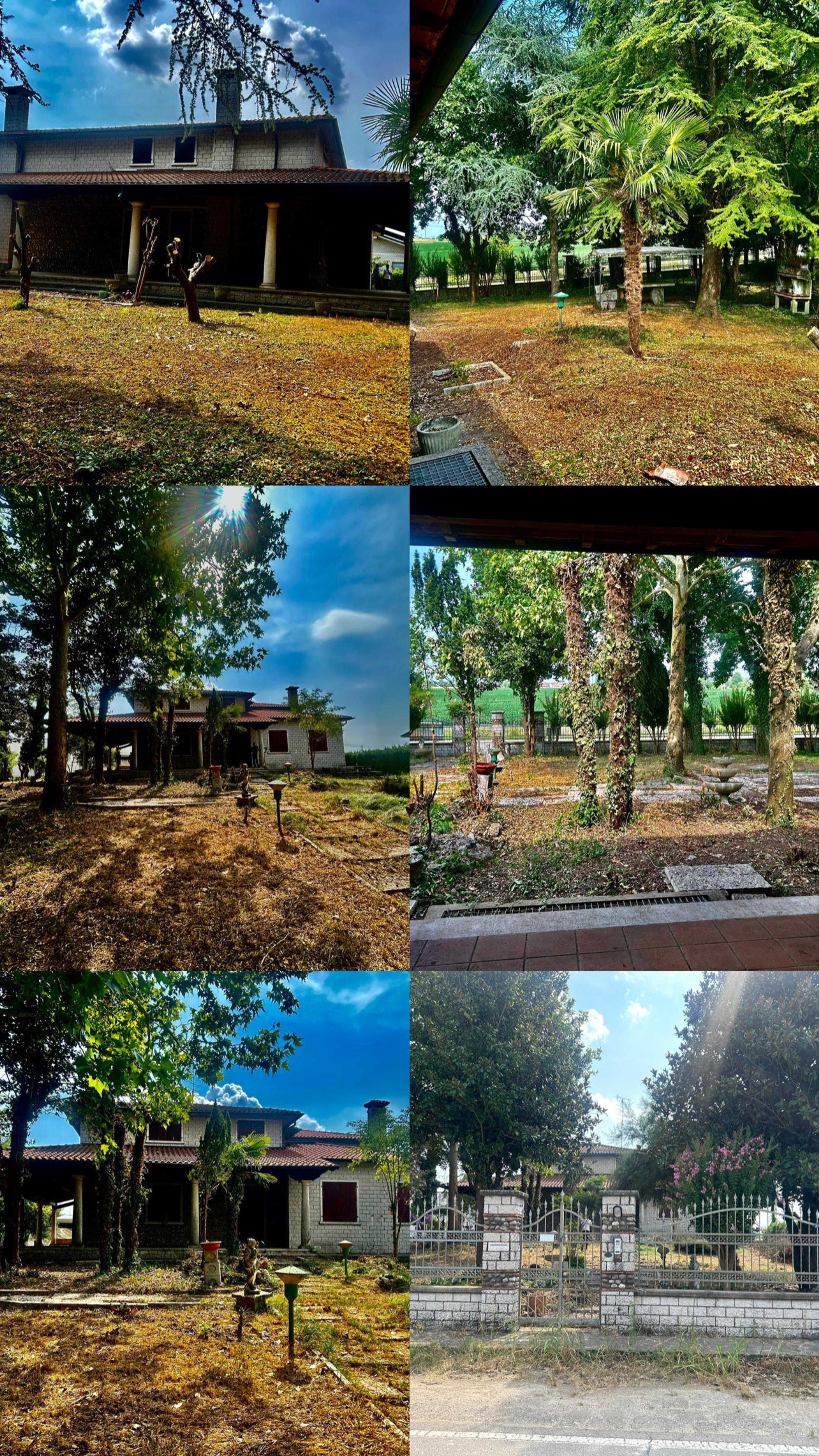 Zulqar Nain