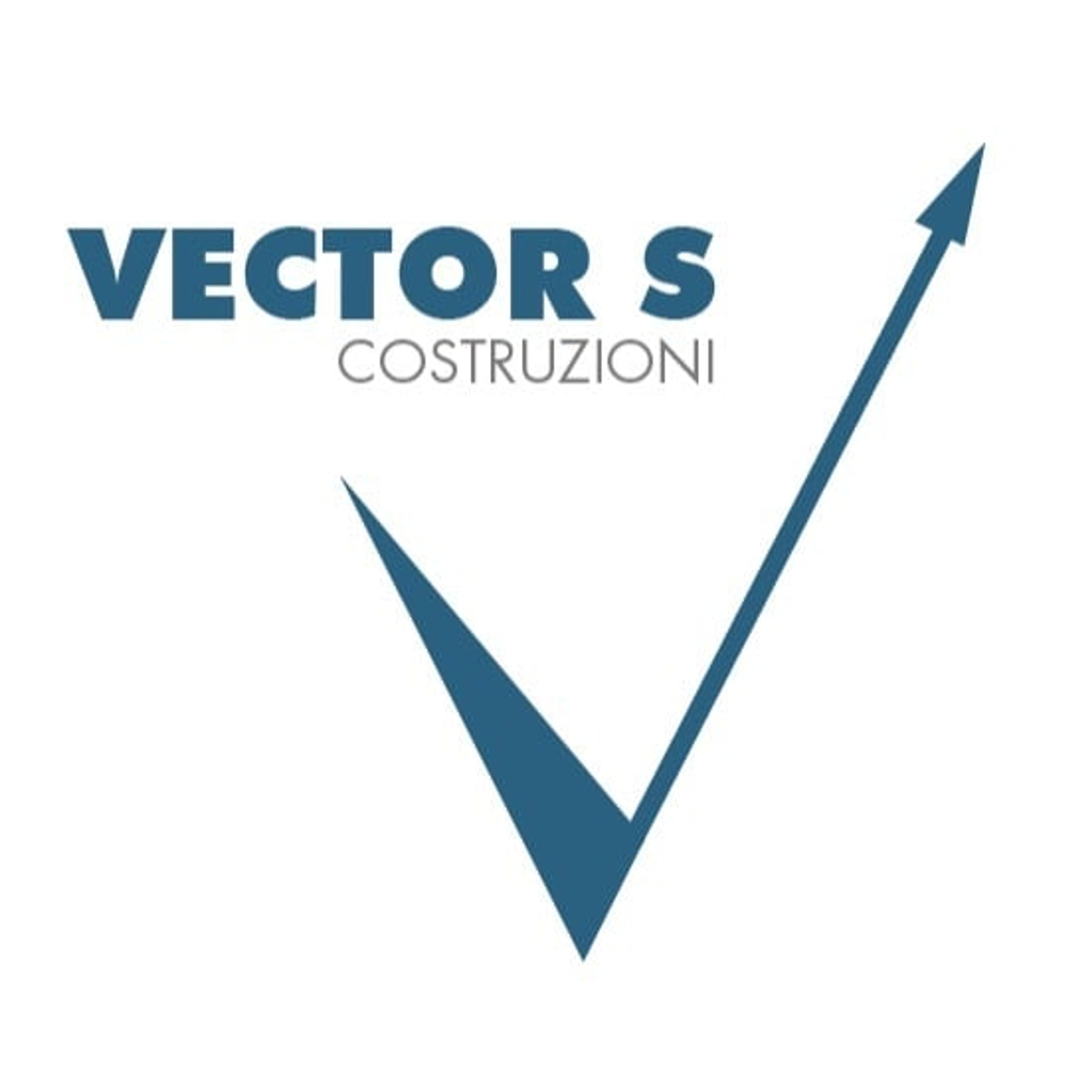 Vector S
