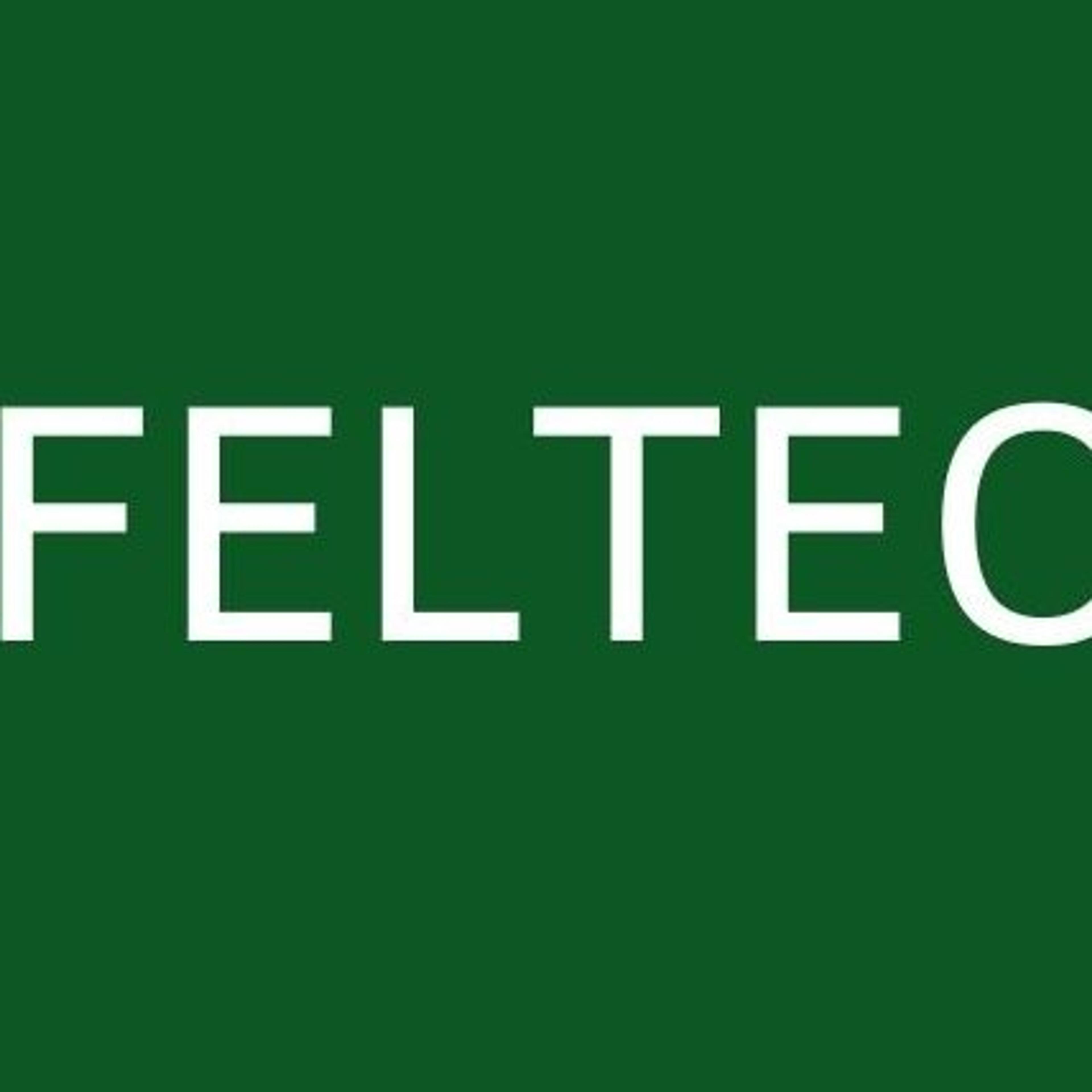 Feltec GmbH & Co. KG