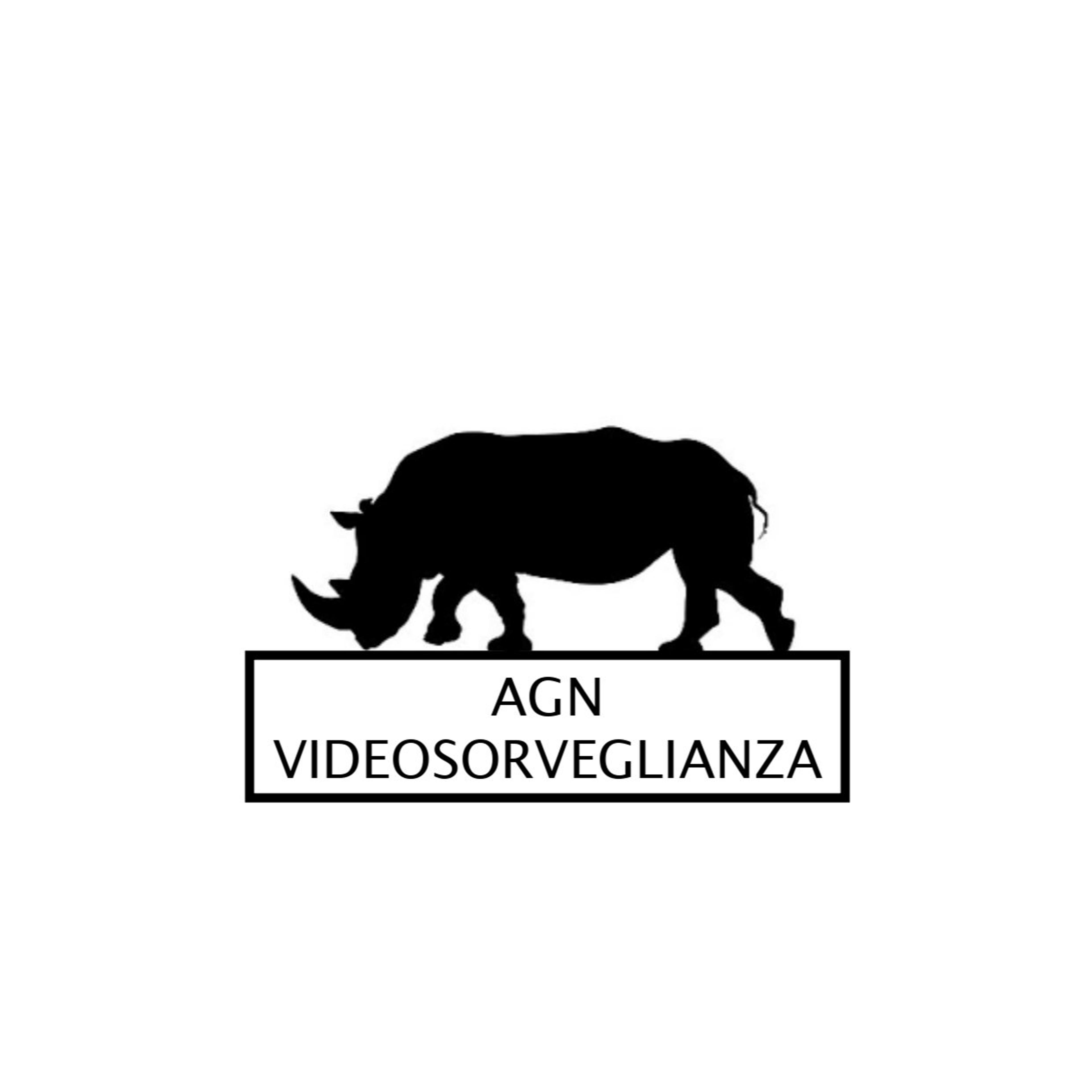 AGN VIDEOSORVEGLIANZA