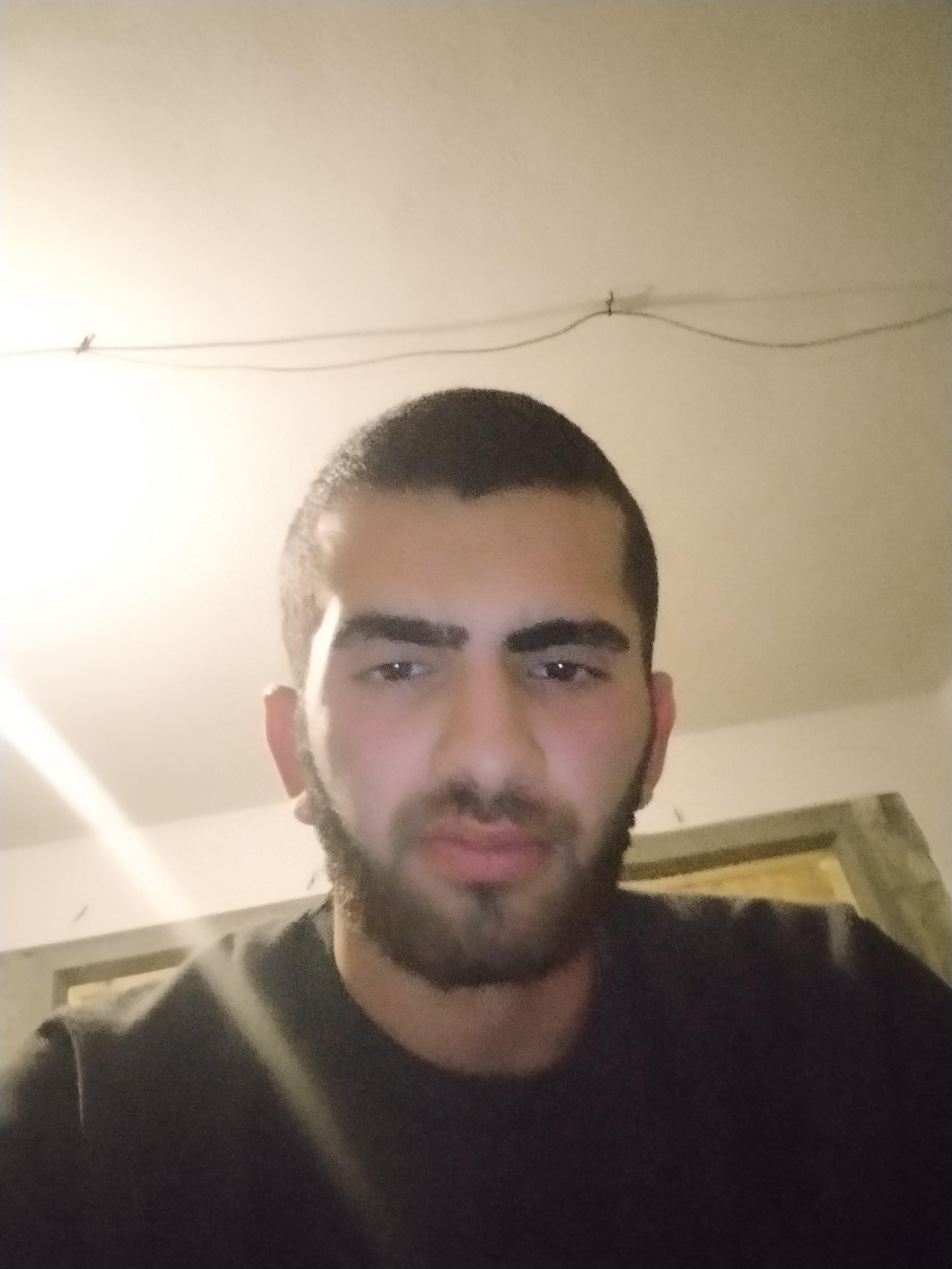 Rojhat Söğüt