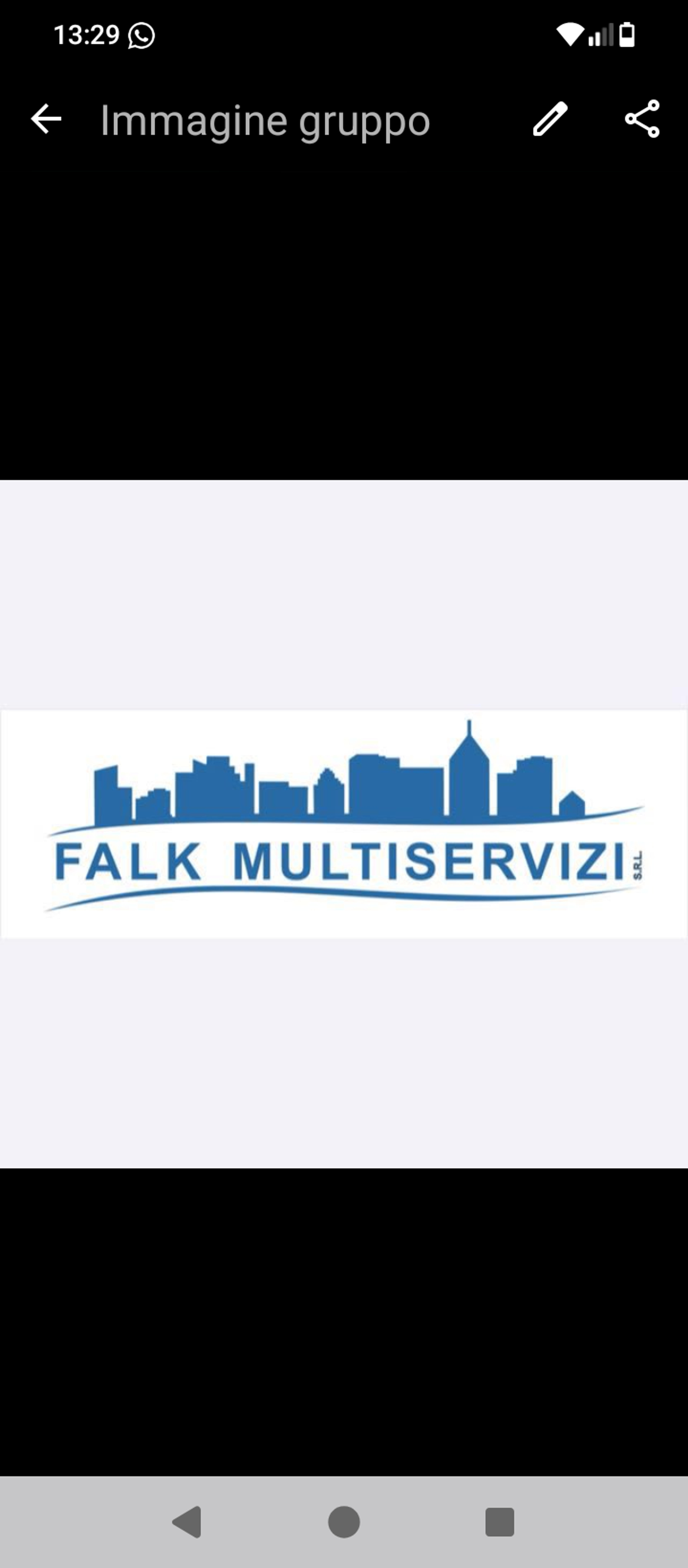 FALK MULTISERVIZI